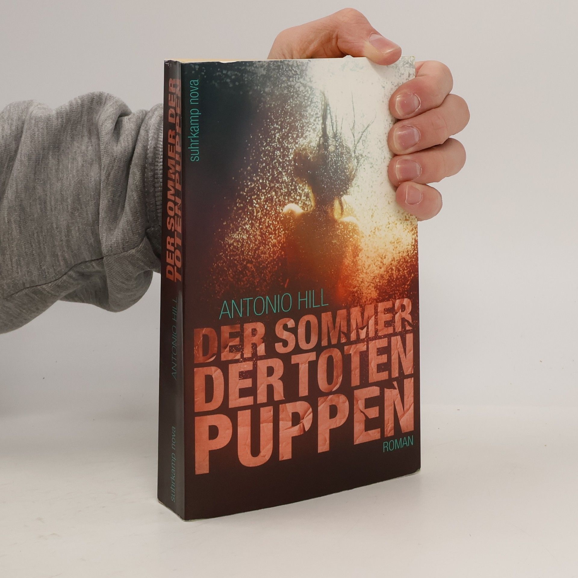 Der Sommer der Toten Puppen