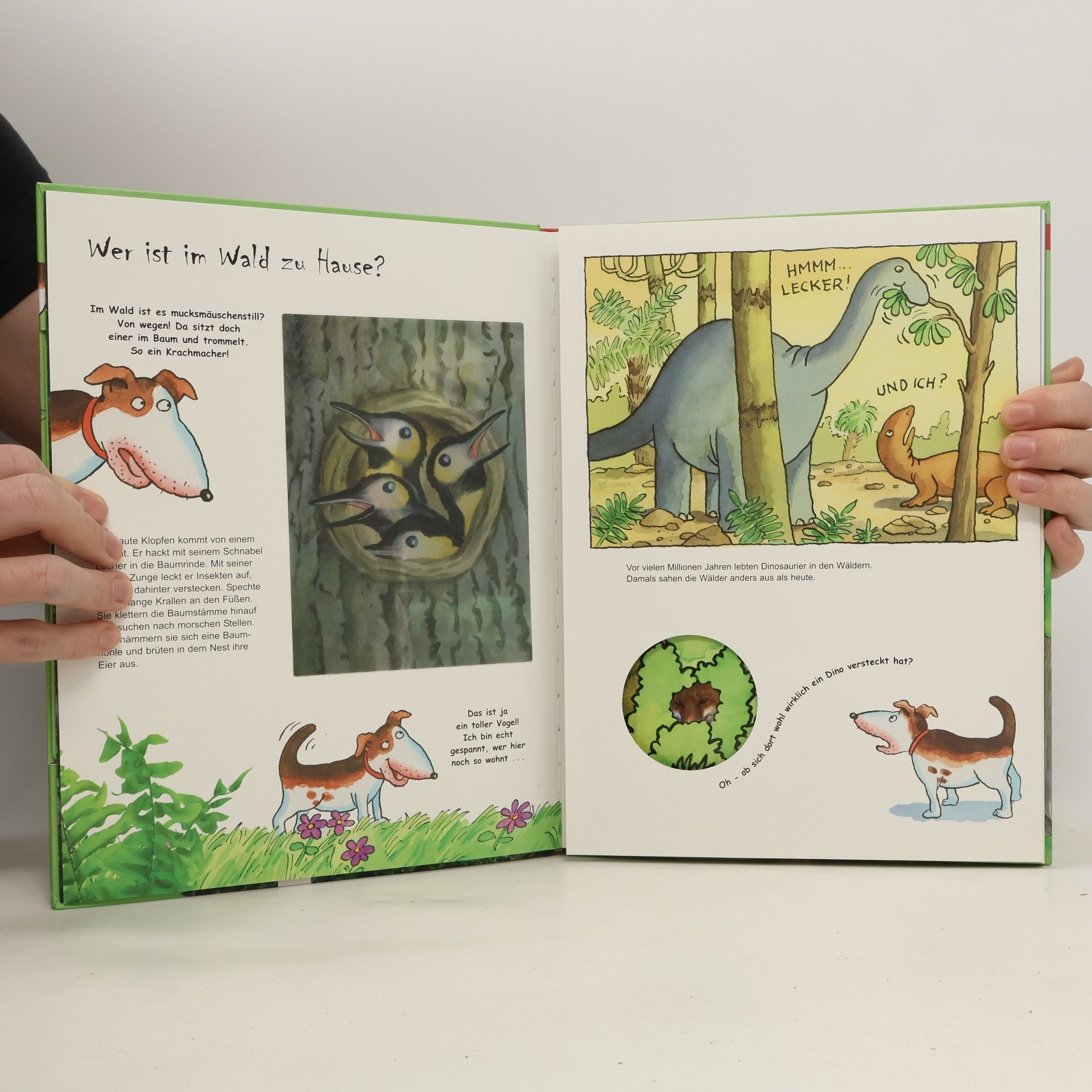 Sibylle Rieckhoff Der Wald, die Tiere und ich