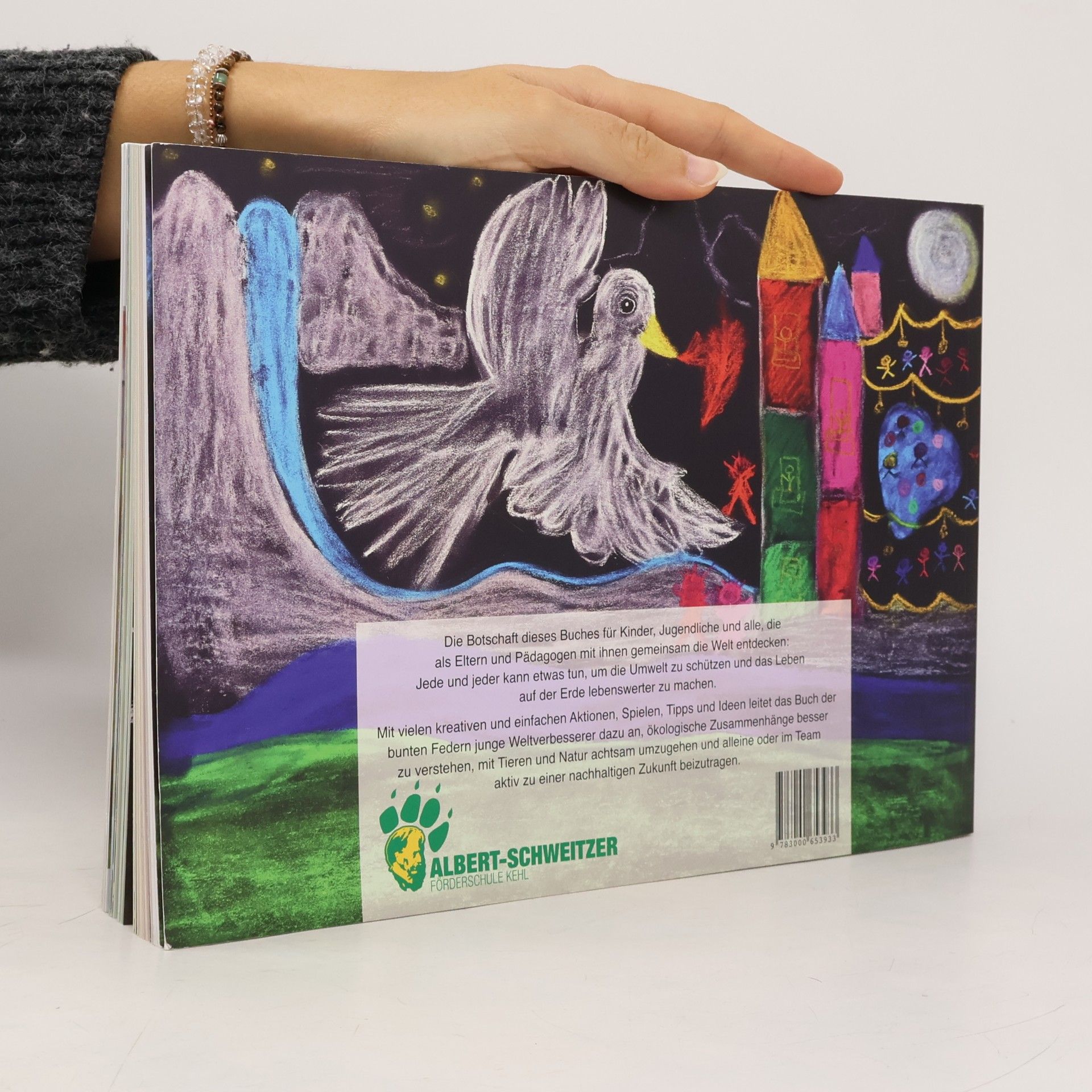 Britta Meinke Das Buch der bunten Federn