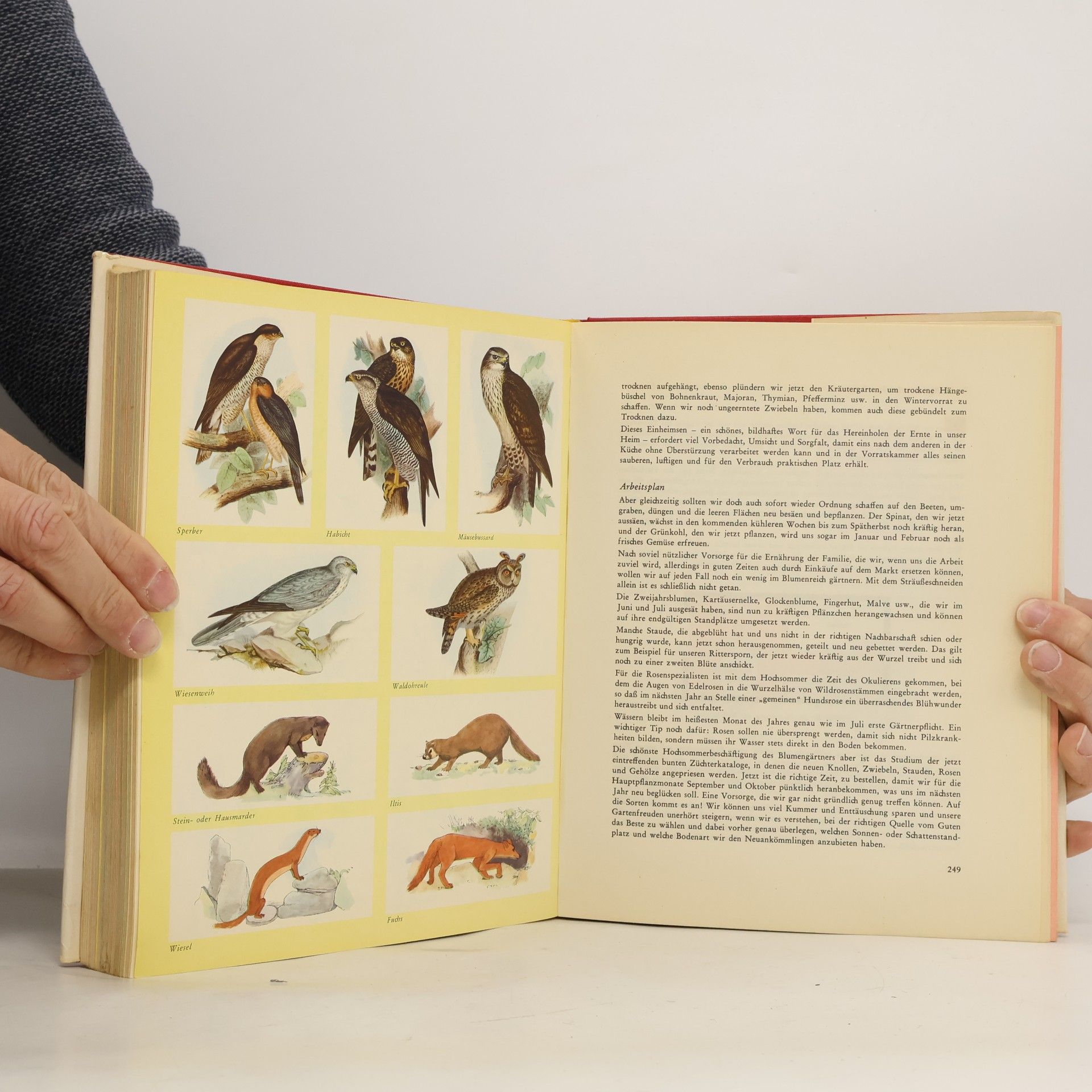Bernhard Klaffke Westermanns Hausbuch