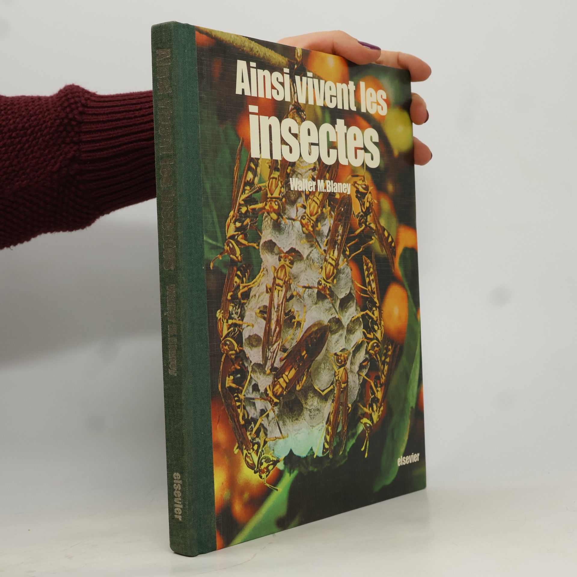 Ainsi vivent les insectes