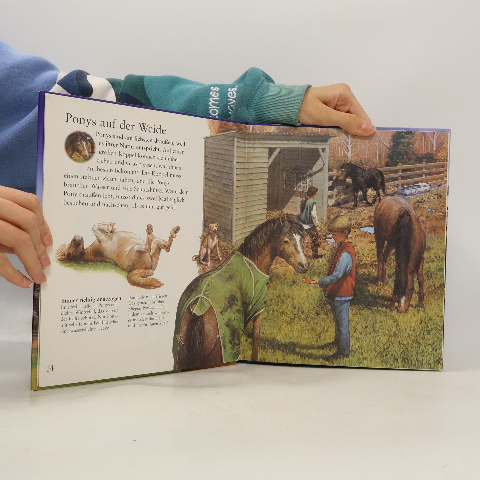 Jackie Budd Tessloffs erstes Buch der Ponys