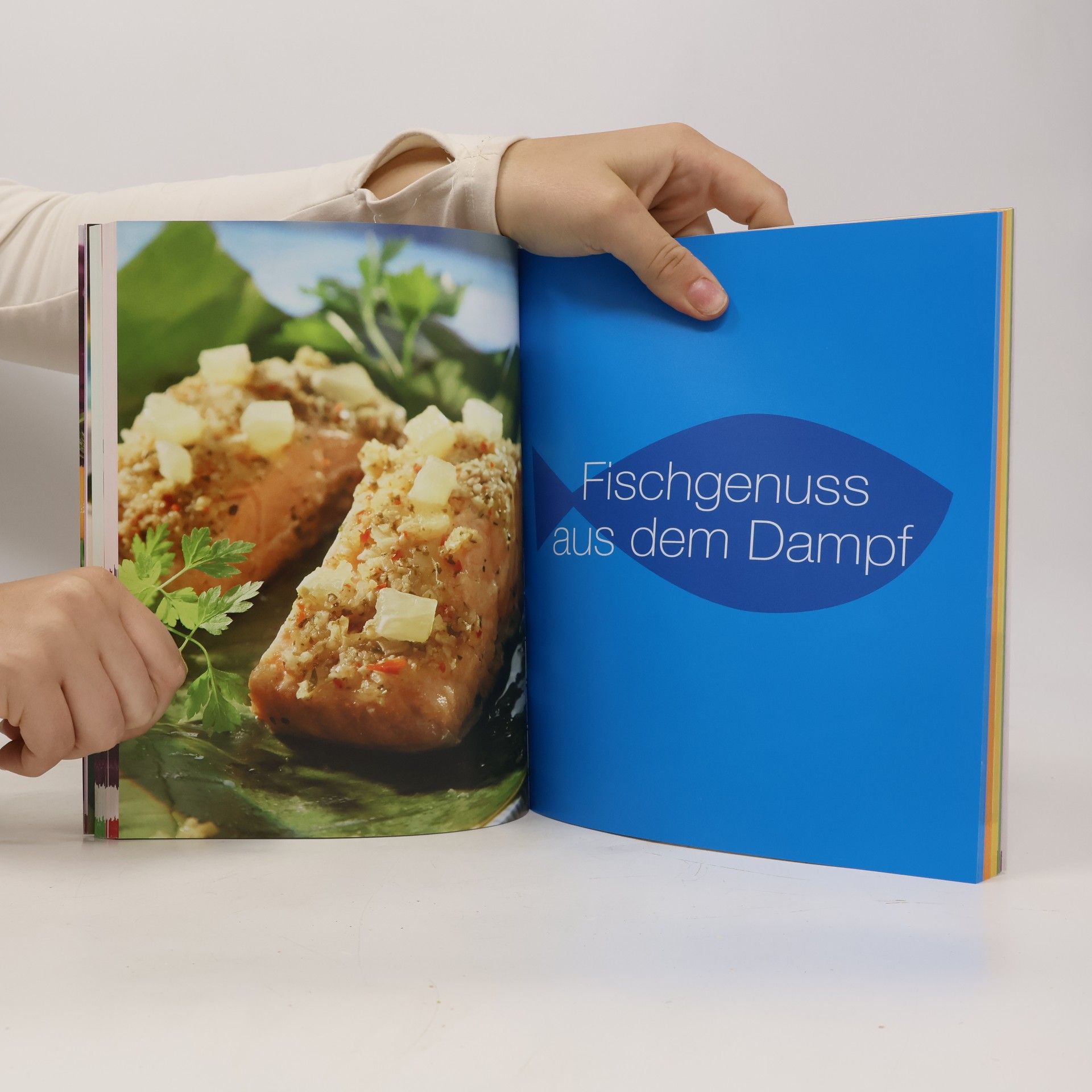 Autorenkollektiv 101 Microgourmet Kochbuch 101 Rezepte zum Dampfgaren