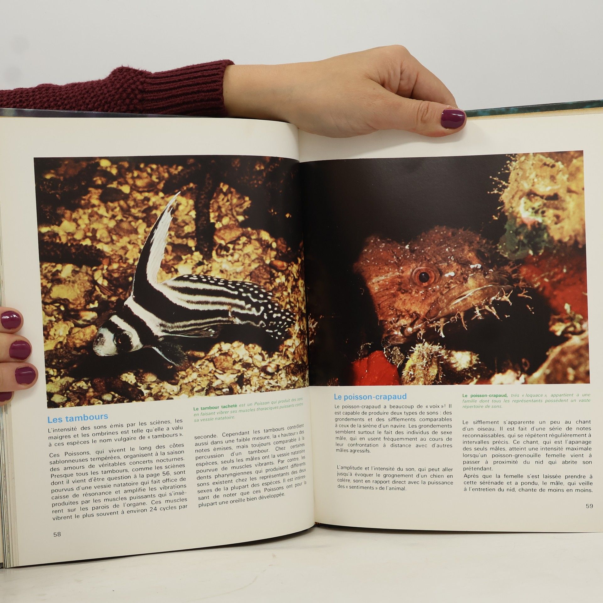 Jacques-Yves Cousteau Encyclopédie Cousteau