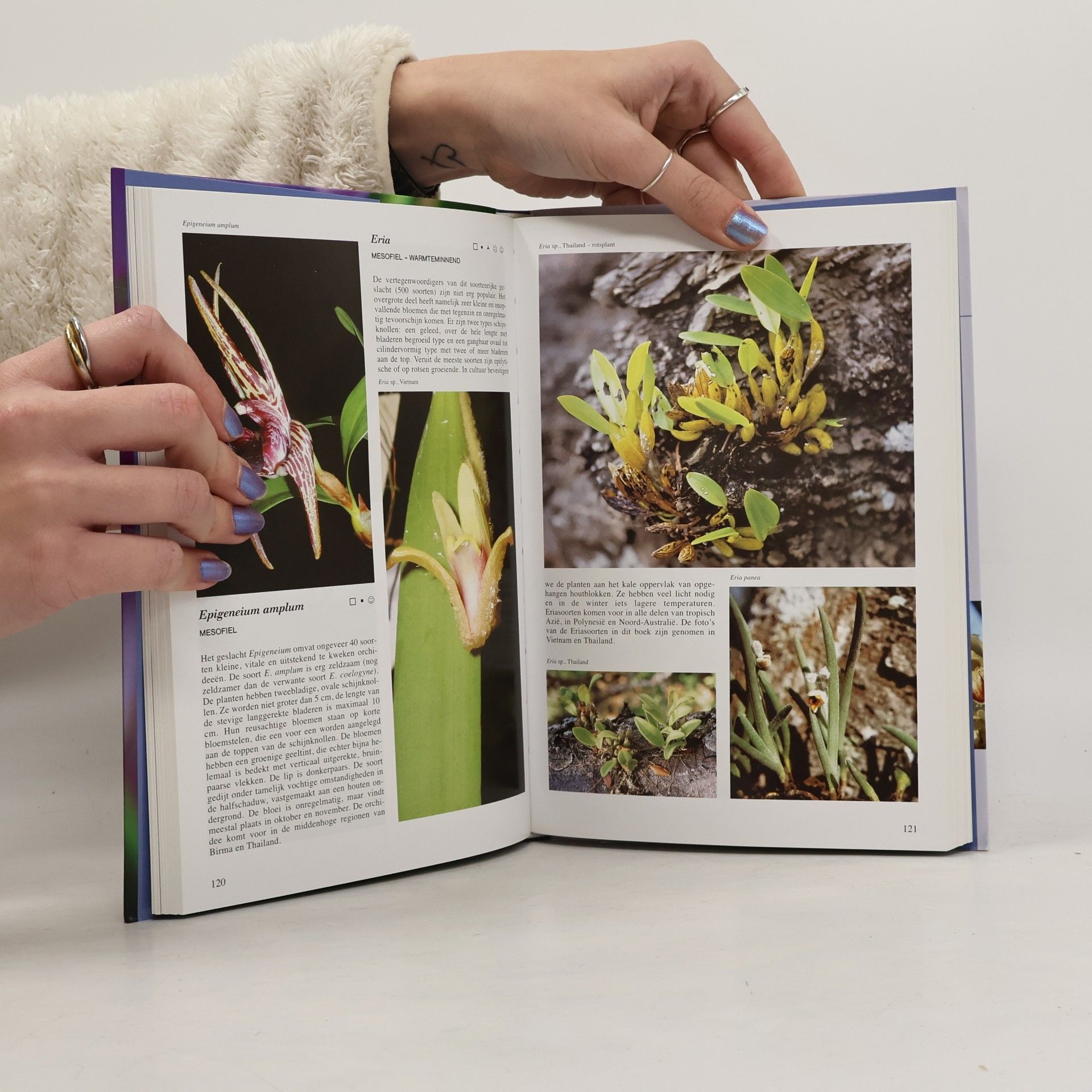 Zdeněk Ježek Geillustreerde Orchideeen encyclopedie / druk 1