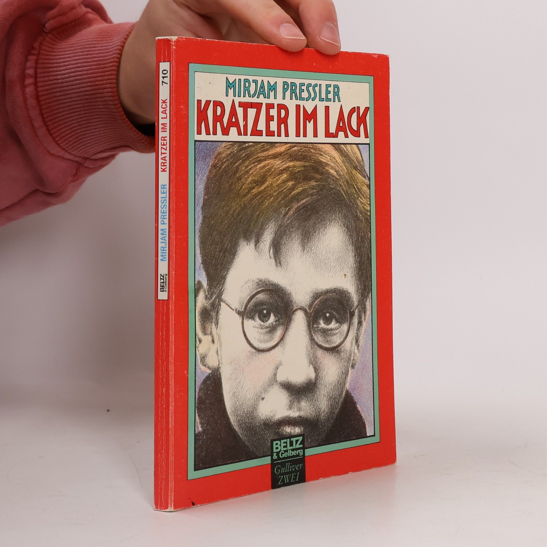 Kratzer im Lack
