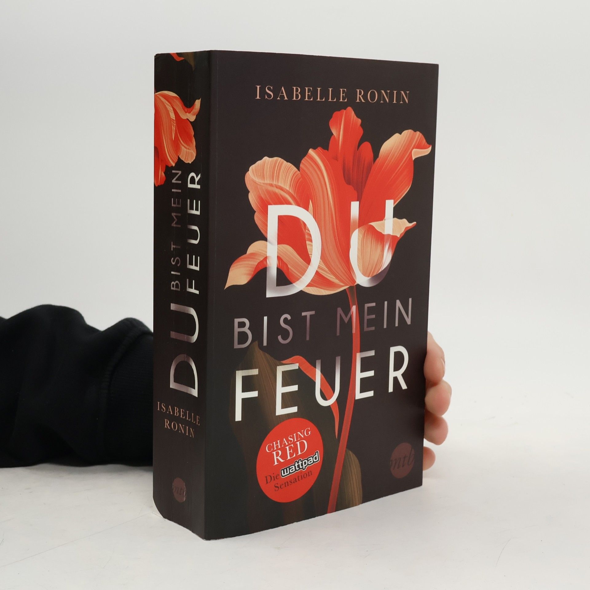 Isabelle Ronin Du bist mein Feuer