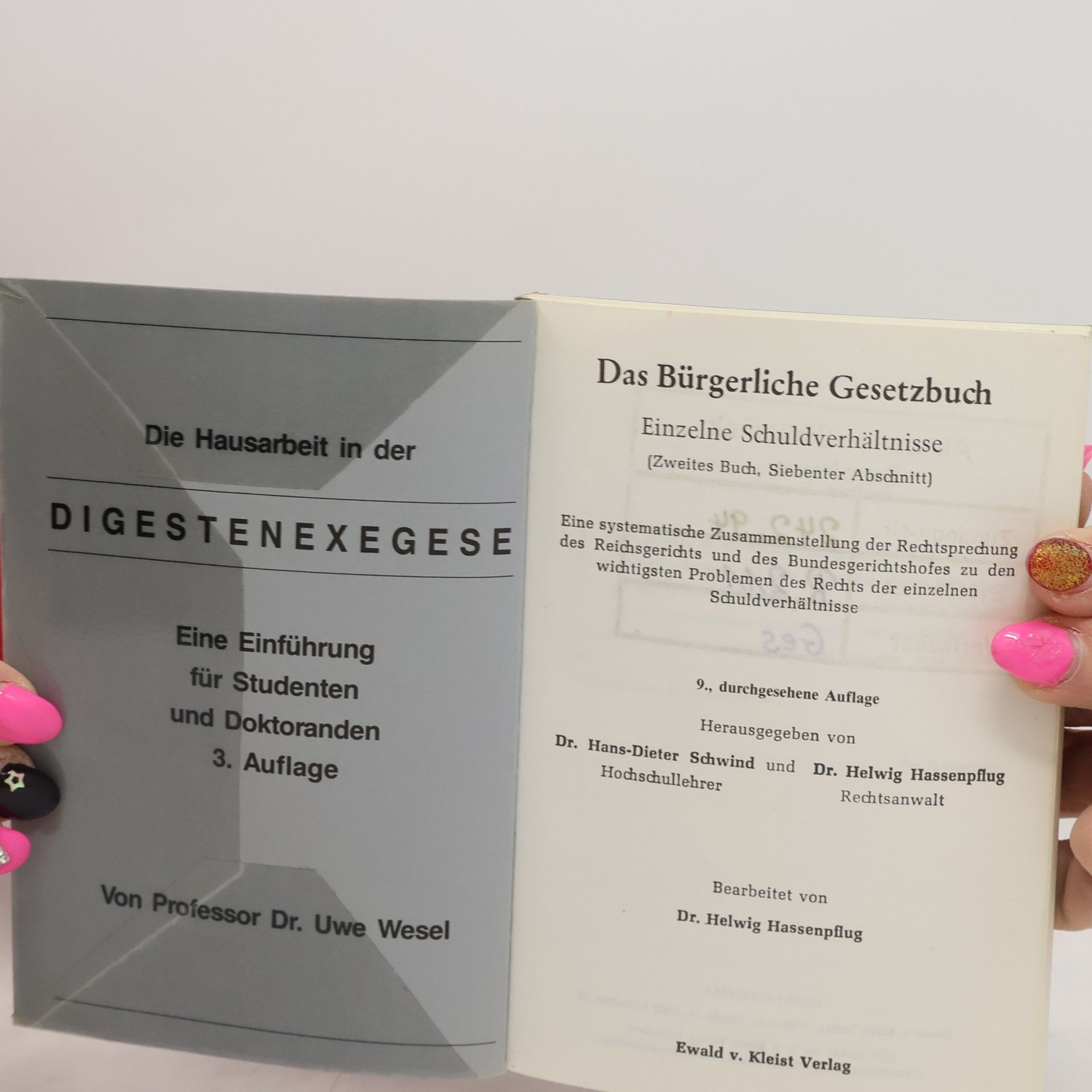 Helwig Hassenpflug BGB Besonderes Schuldrecht