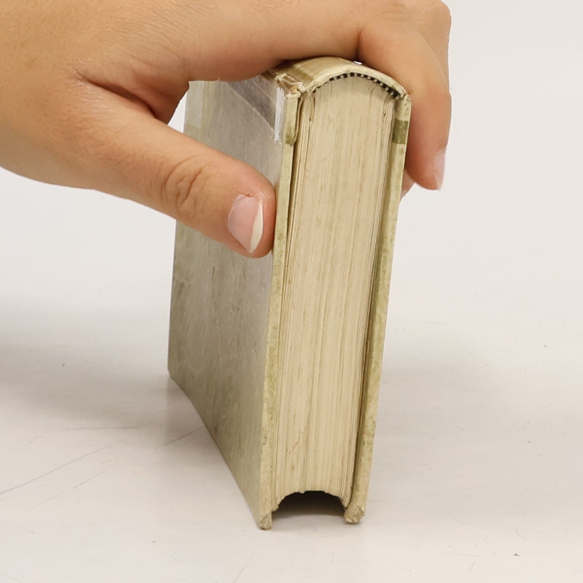 Various authors Die Meisterbilder von Correggio