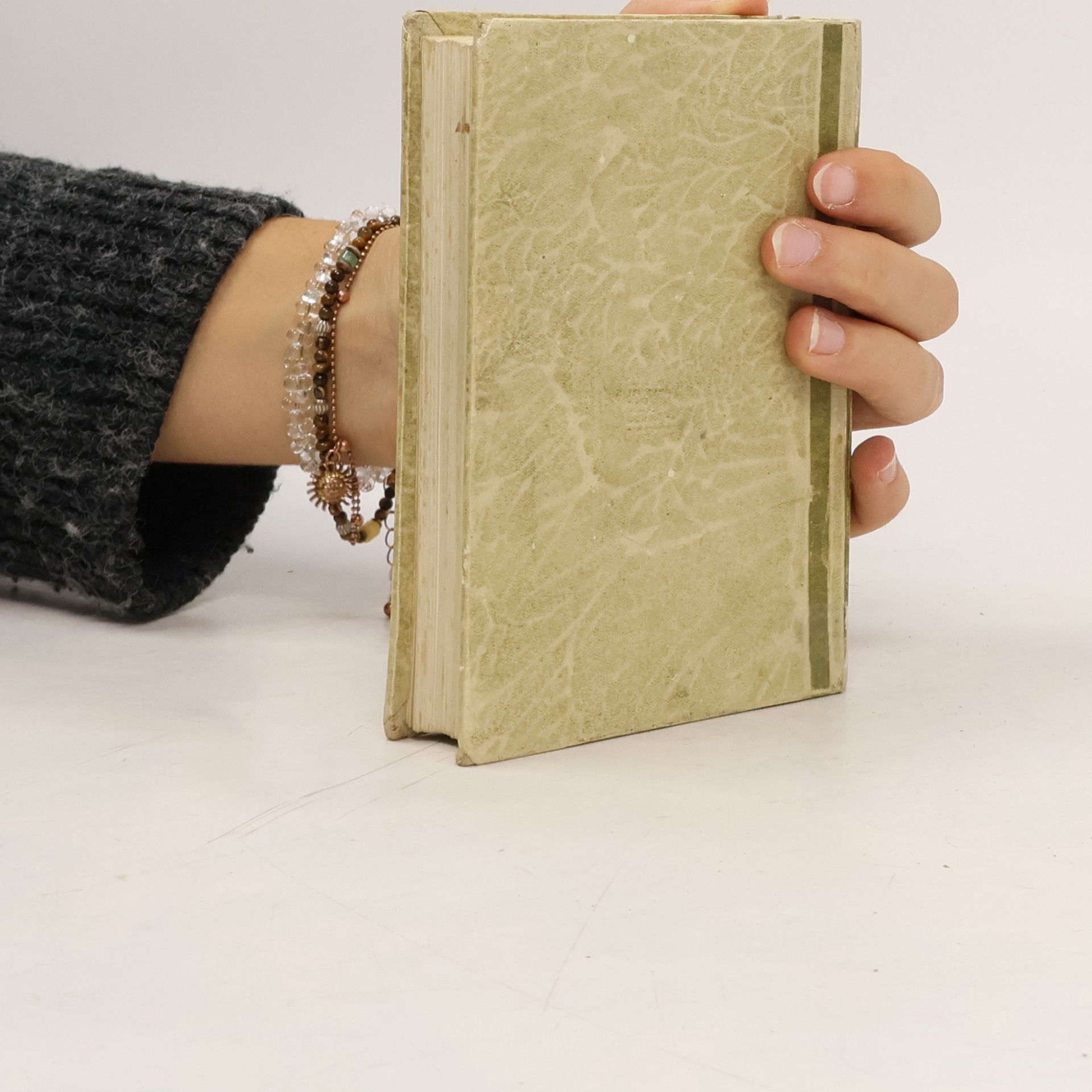 Various authors Die Meisterbilder von Correggio