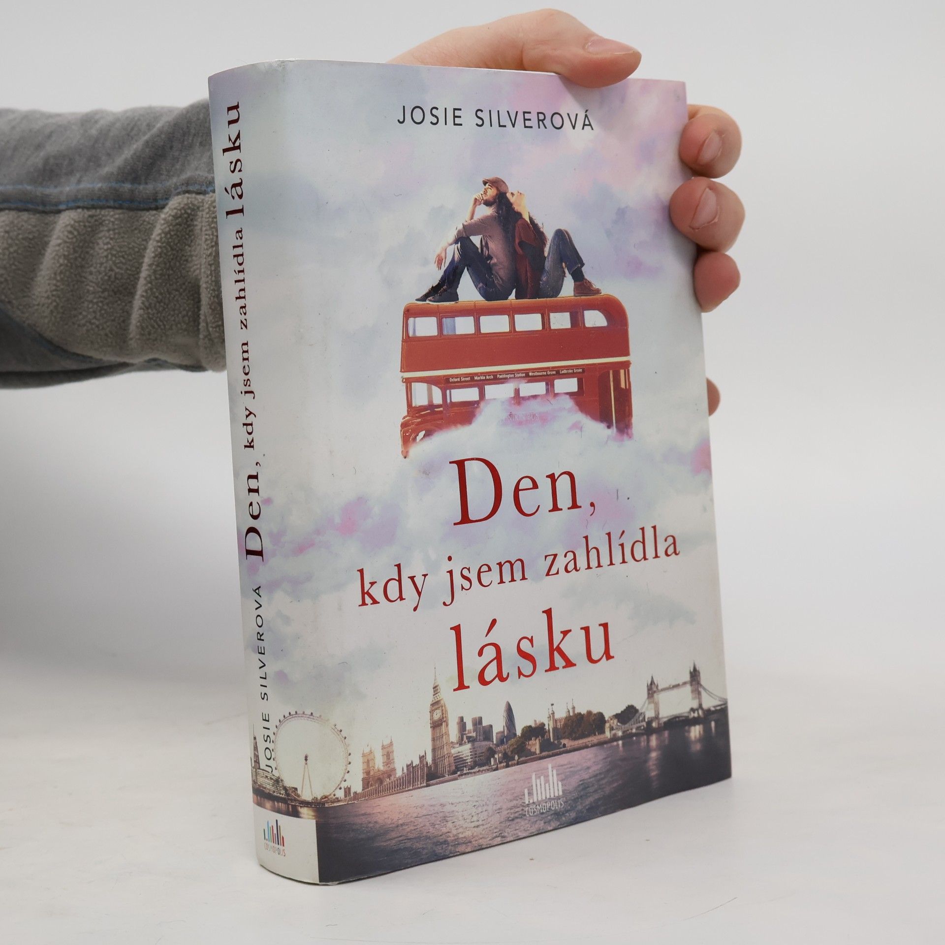 Josie Silver Den, kdy jsem zahlídla lásku