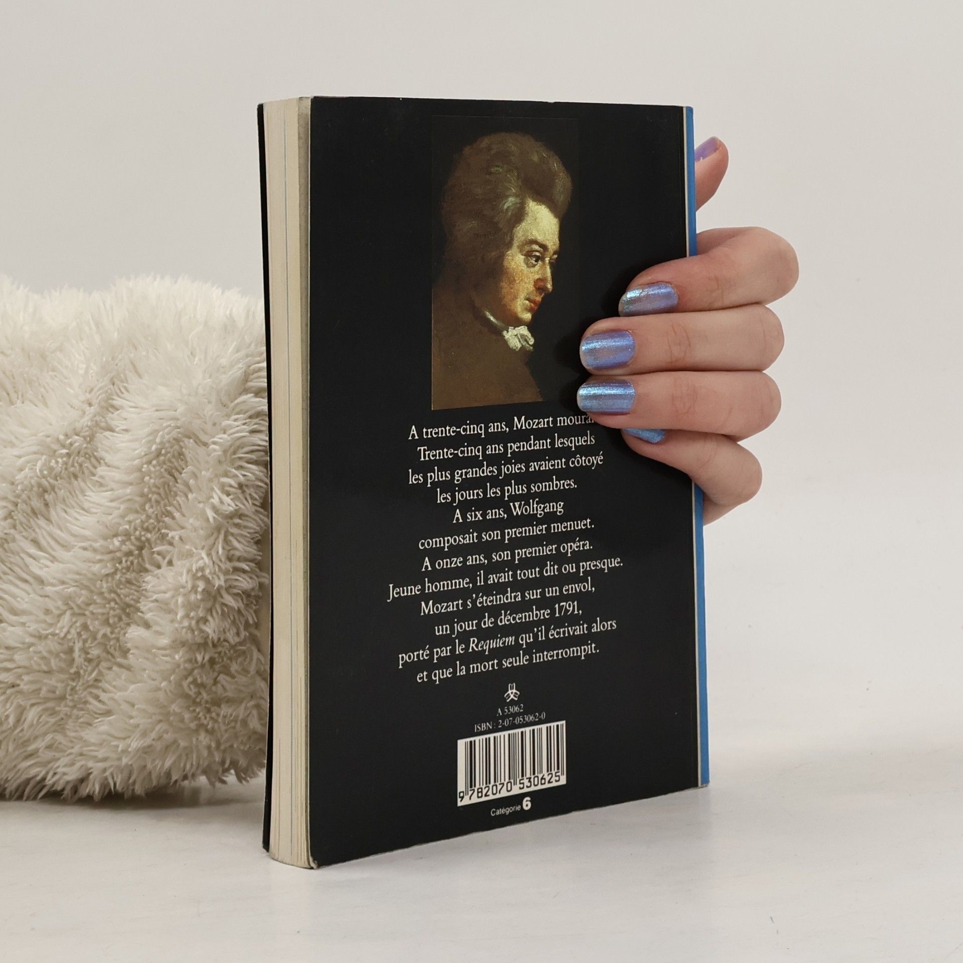 Michel Parouty Mozart aimé des dieux