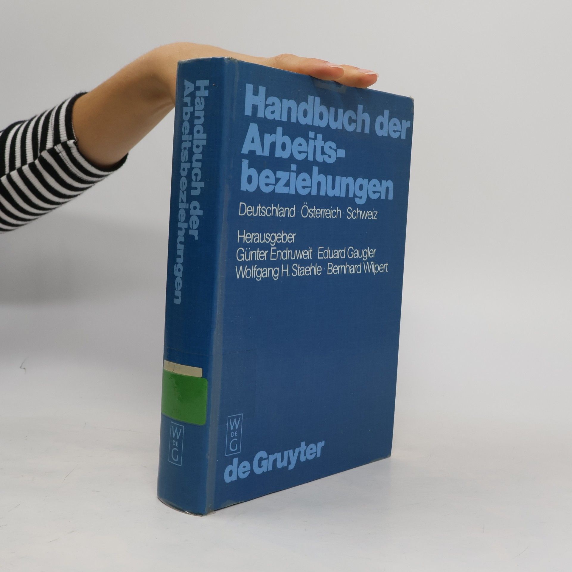 Günter Endruweit Handbuch der Arbeitsbeziehungen