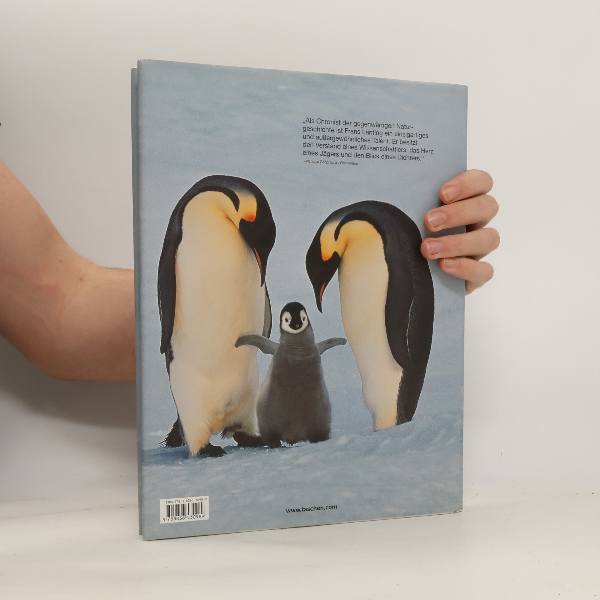 Frans Lanting Pinguin