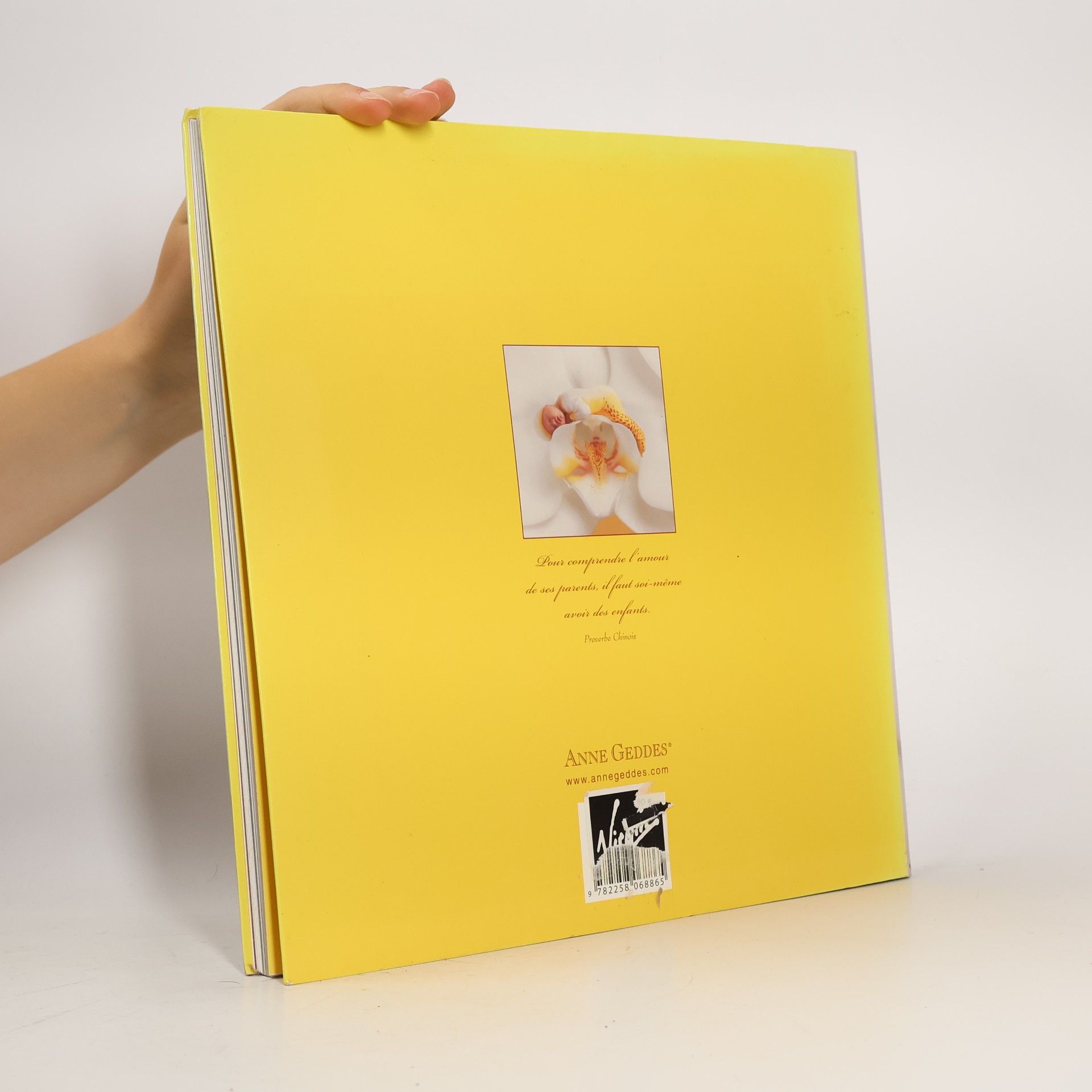 Anne Geddes Pour tout l'amour du monde