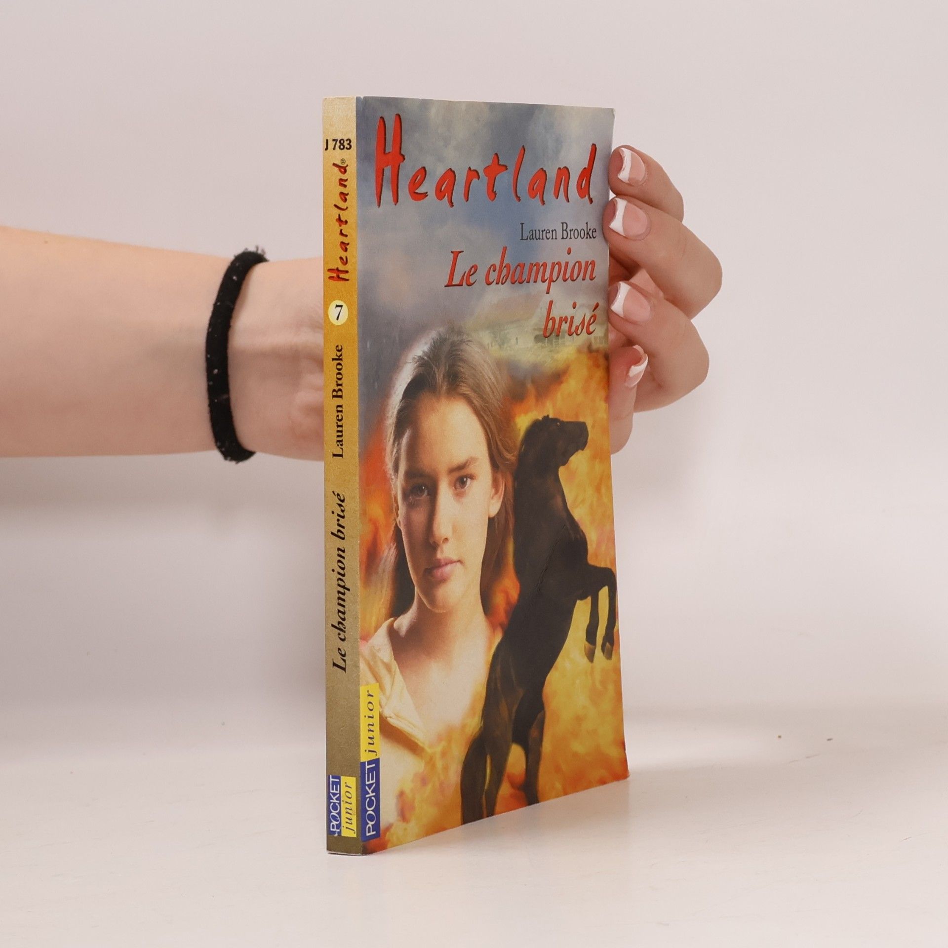 Heartland - 7: Le champion brisé