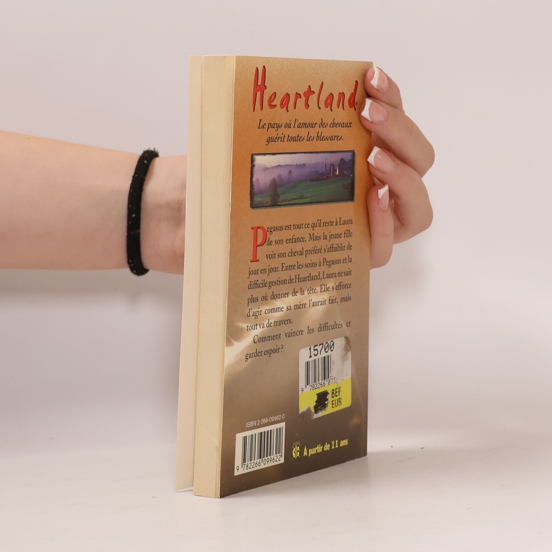 Lauren Brooke Heartland - 3: Une nouvelle chance?