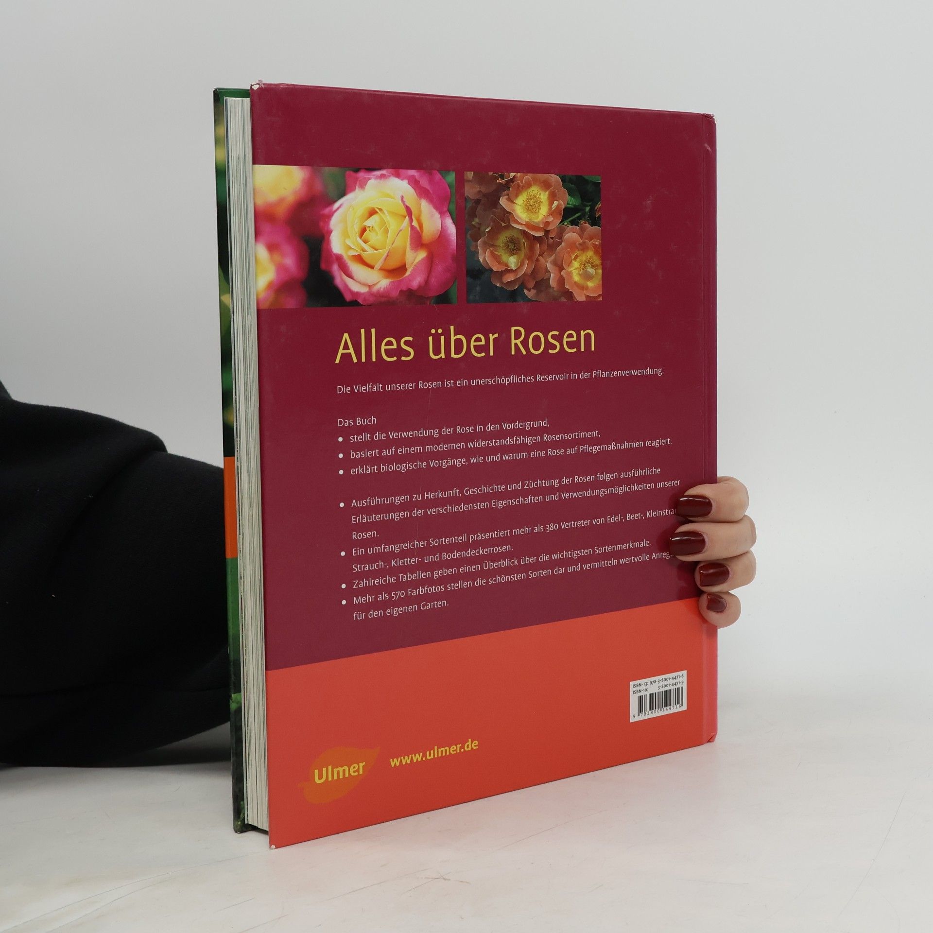 Jürgen Strobel Alles über Rosen