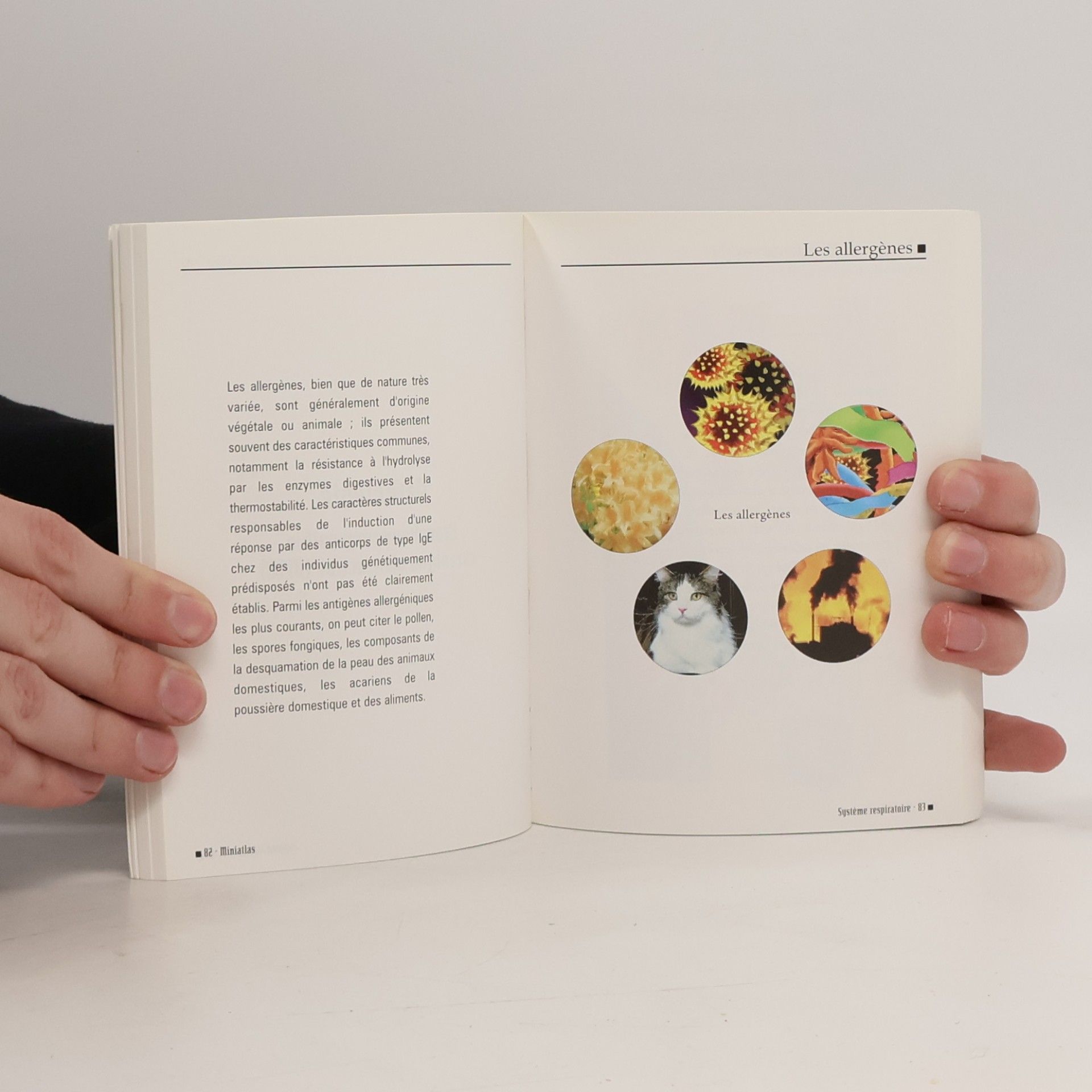 Luis Raúl Lépori Miniatlas - Système Respiratoire