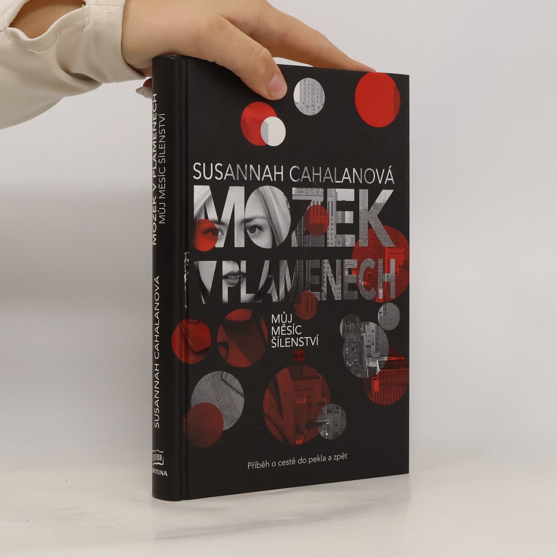 Susannah Cahalan Mozek v plamenech : můj měsíc šílenství