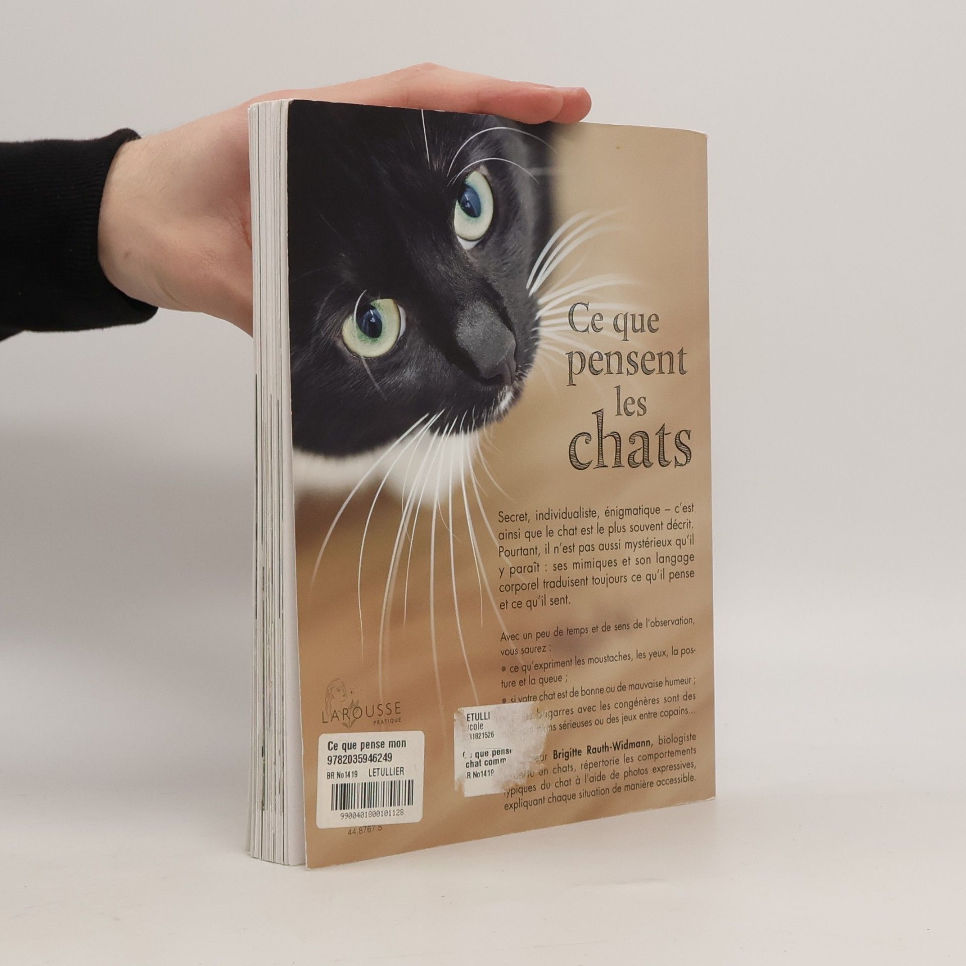 Brigitte Rauth Widmann Ce que pensent les chats