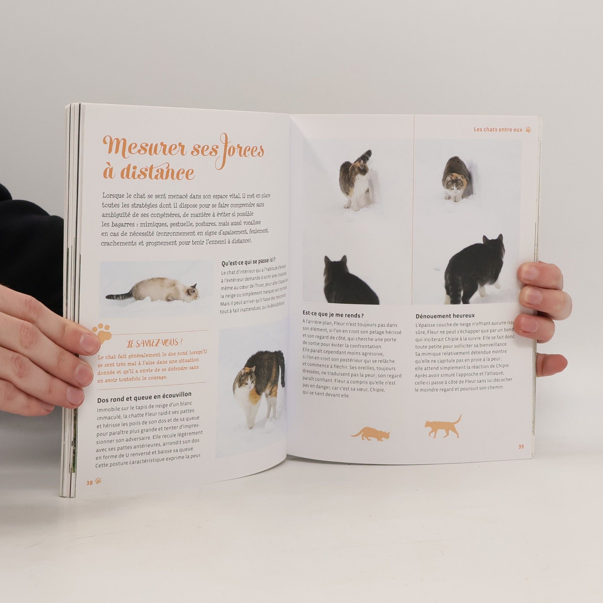 Brigitte Rauth Widmann Ce que pensent les chats