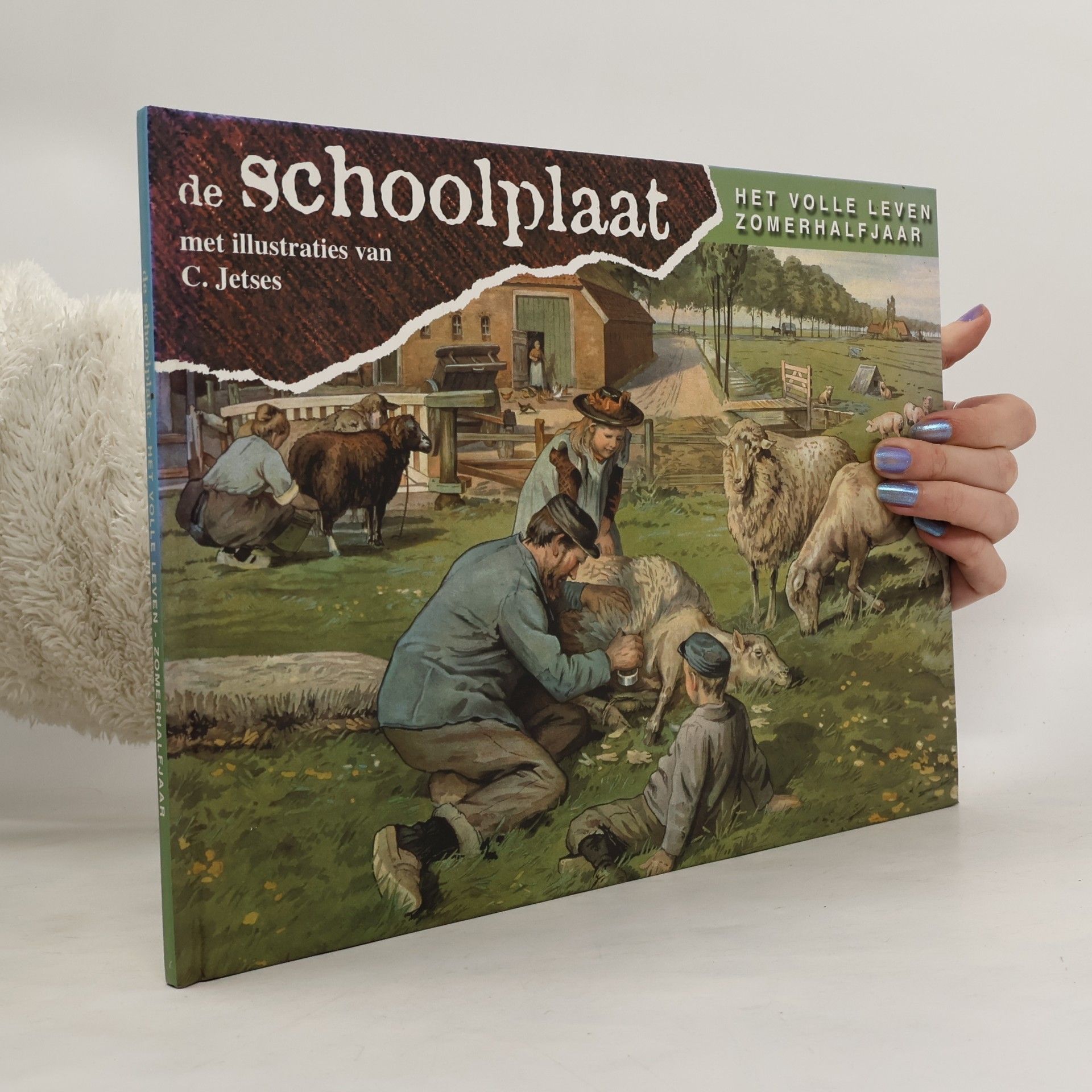 F. van Dulmen De schoolplaat Het volle leven zomerhalf jaar