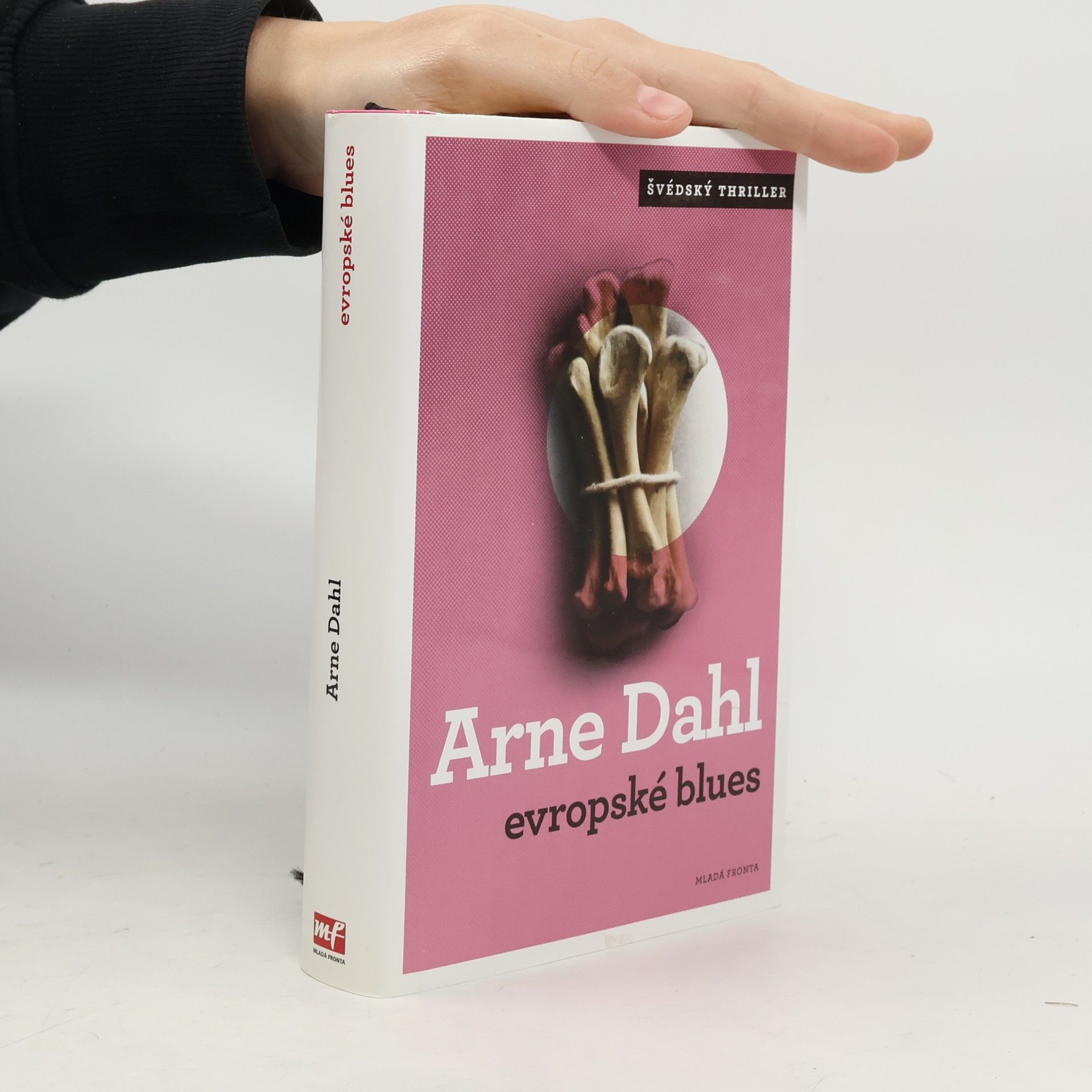 Arne Dahl Evropské blues