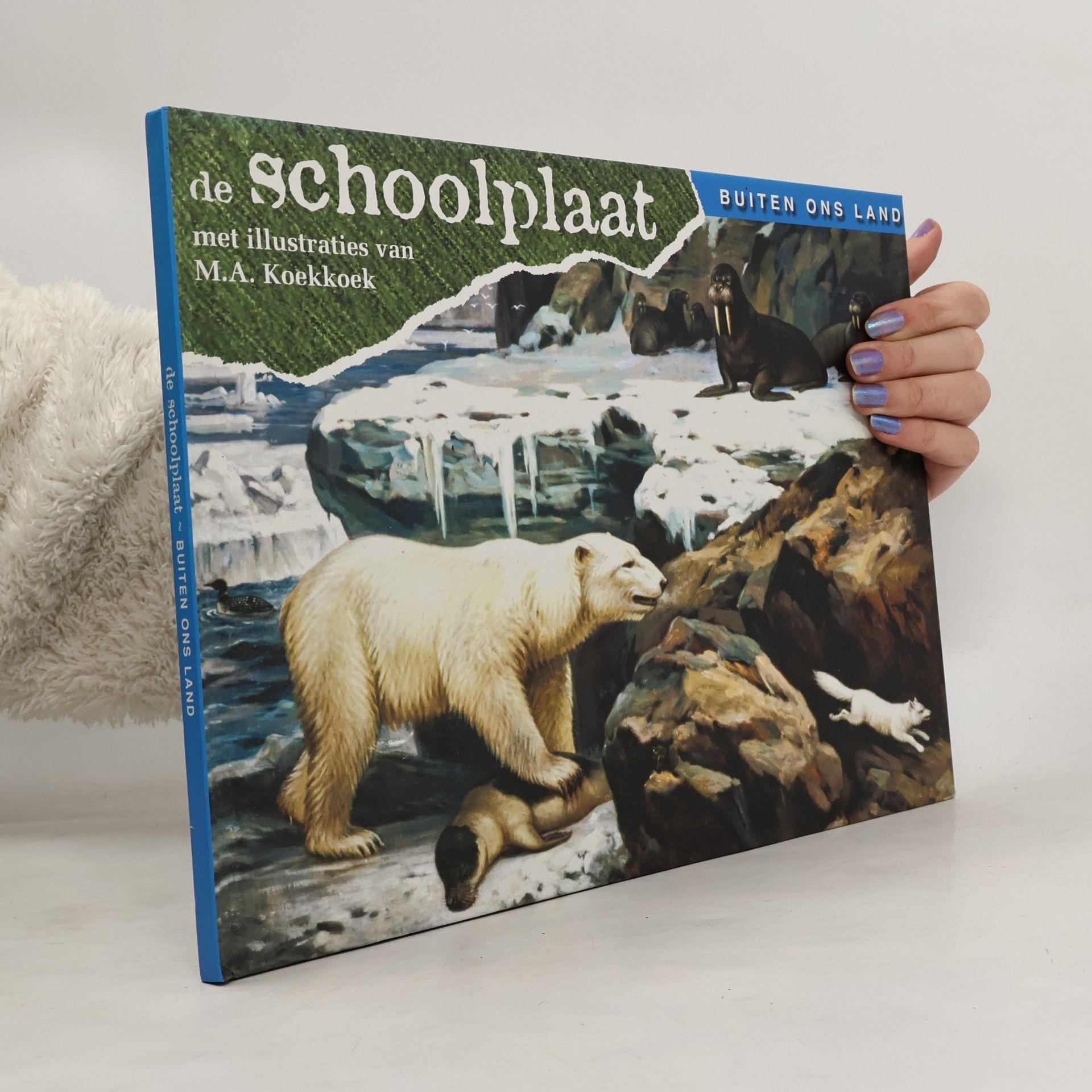 M.A. Koekkoek De schoolplaat buiten ons land