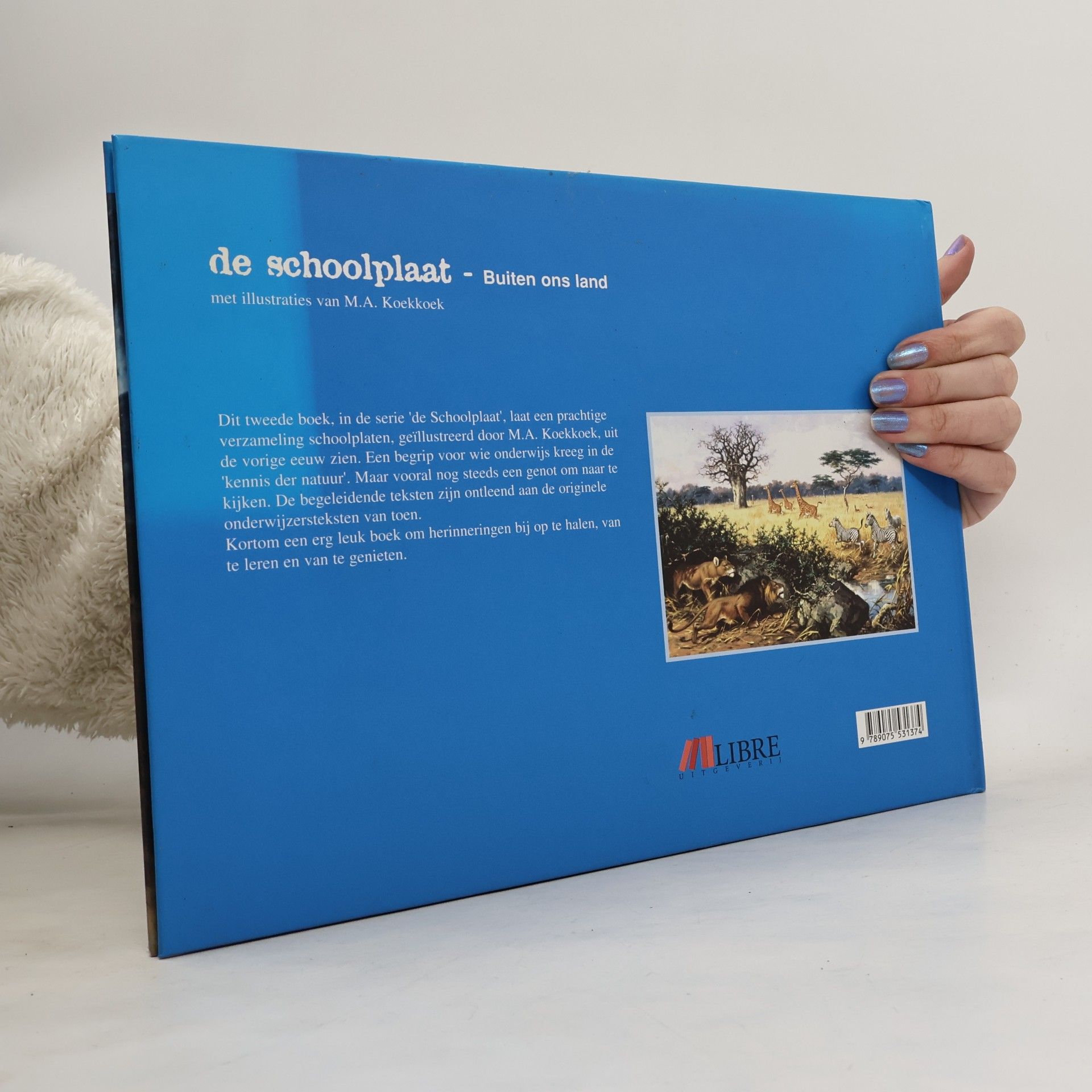 M.A. Koekkoek De schoolplaat buiten ons land