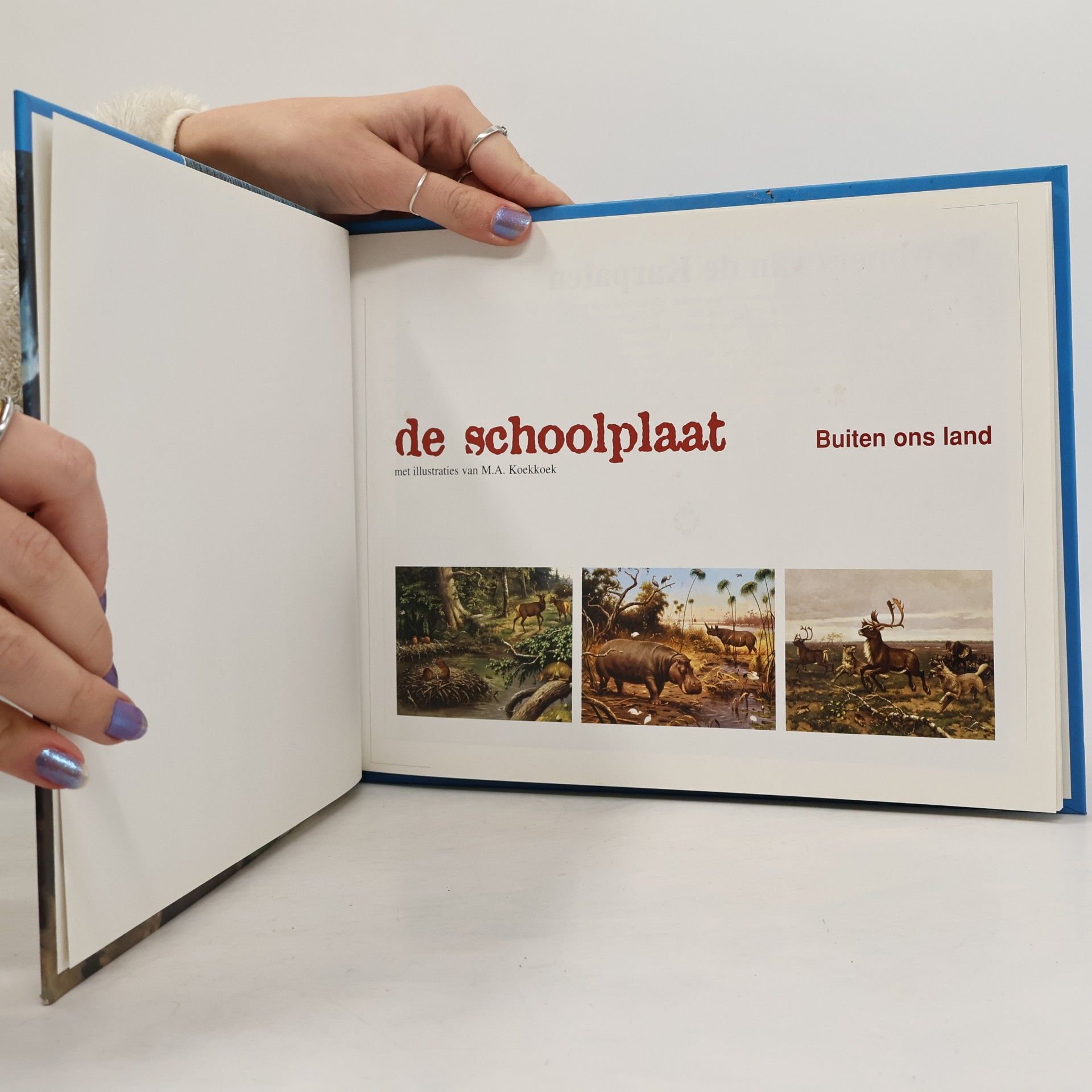 M.A. Koekkoek De schoolplaat buiten ons land