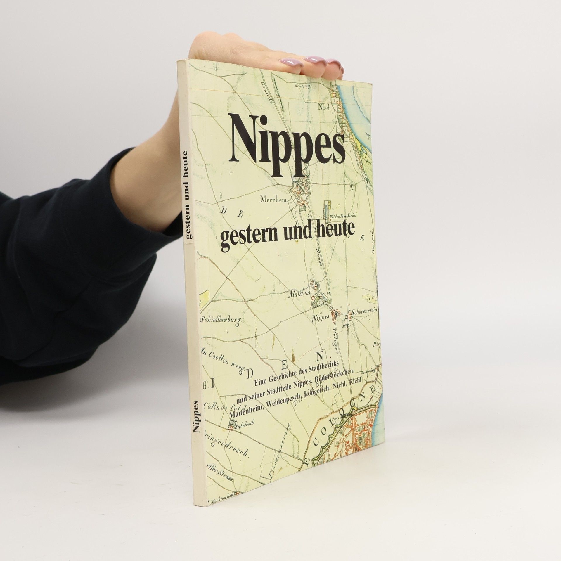 Kolektiv autorů Nippes gestern und heute