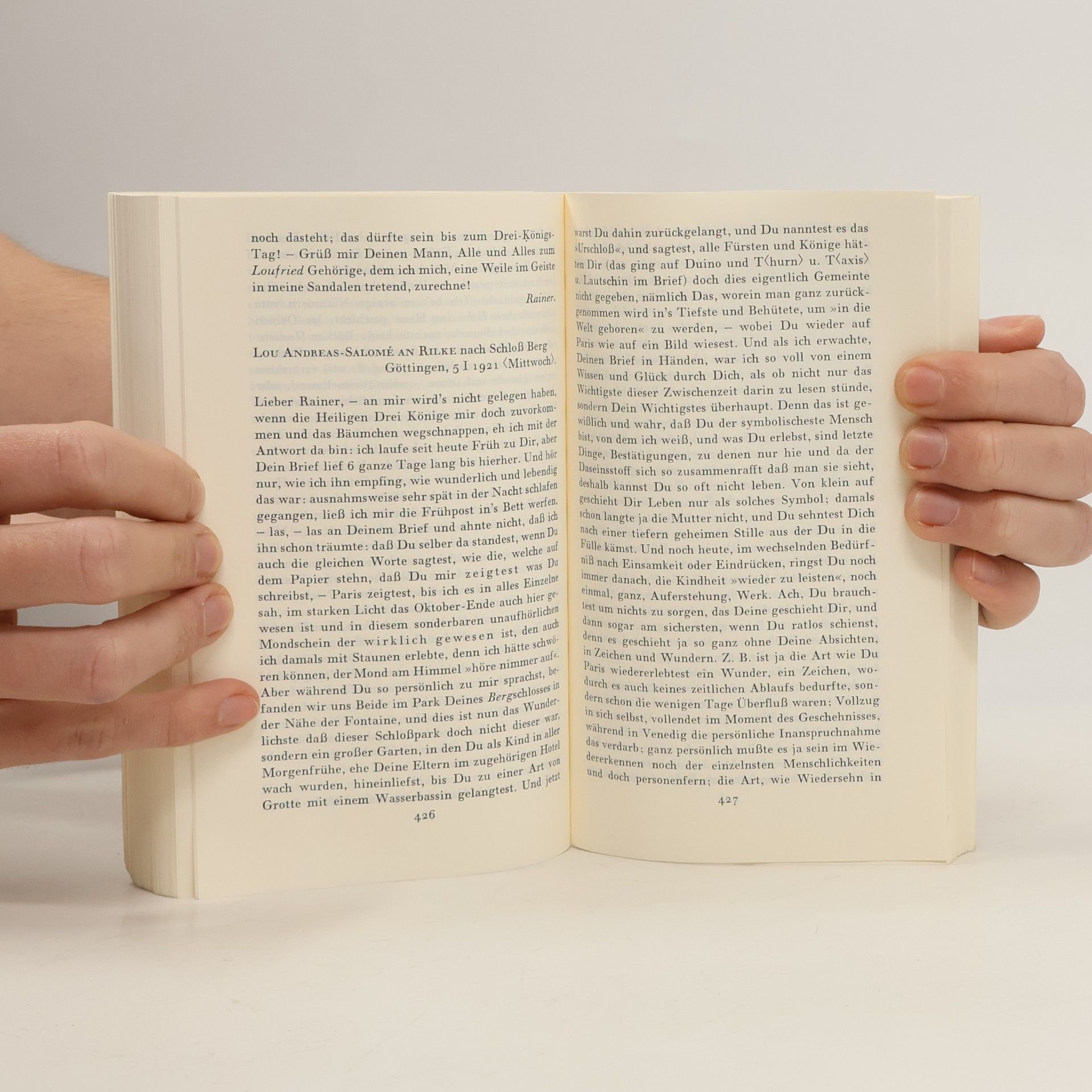 Rainer Maria Rilke Briefwechsel