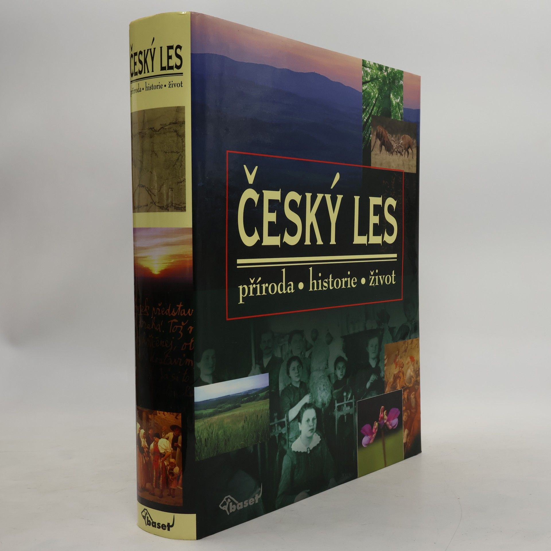 Vladislav Dudák Český les