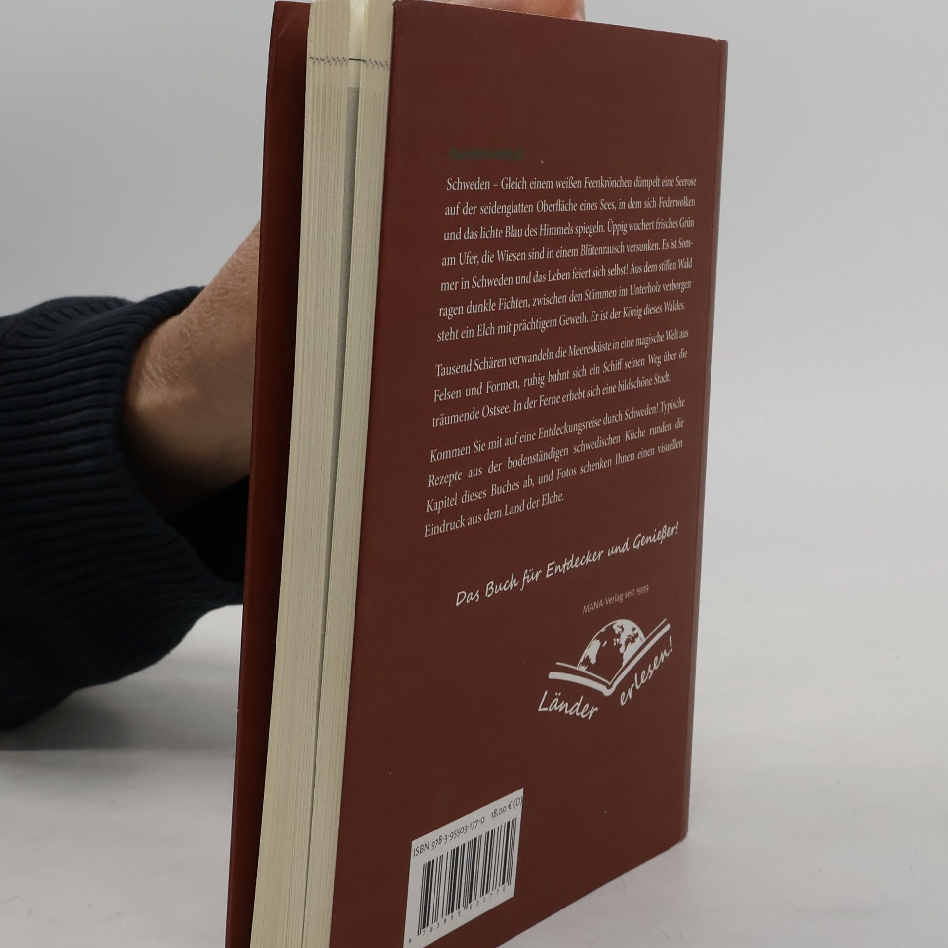 Almut Irmscher Das Schweden-Lesebuch