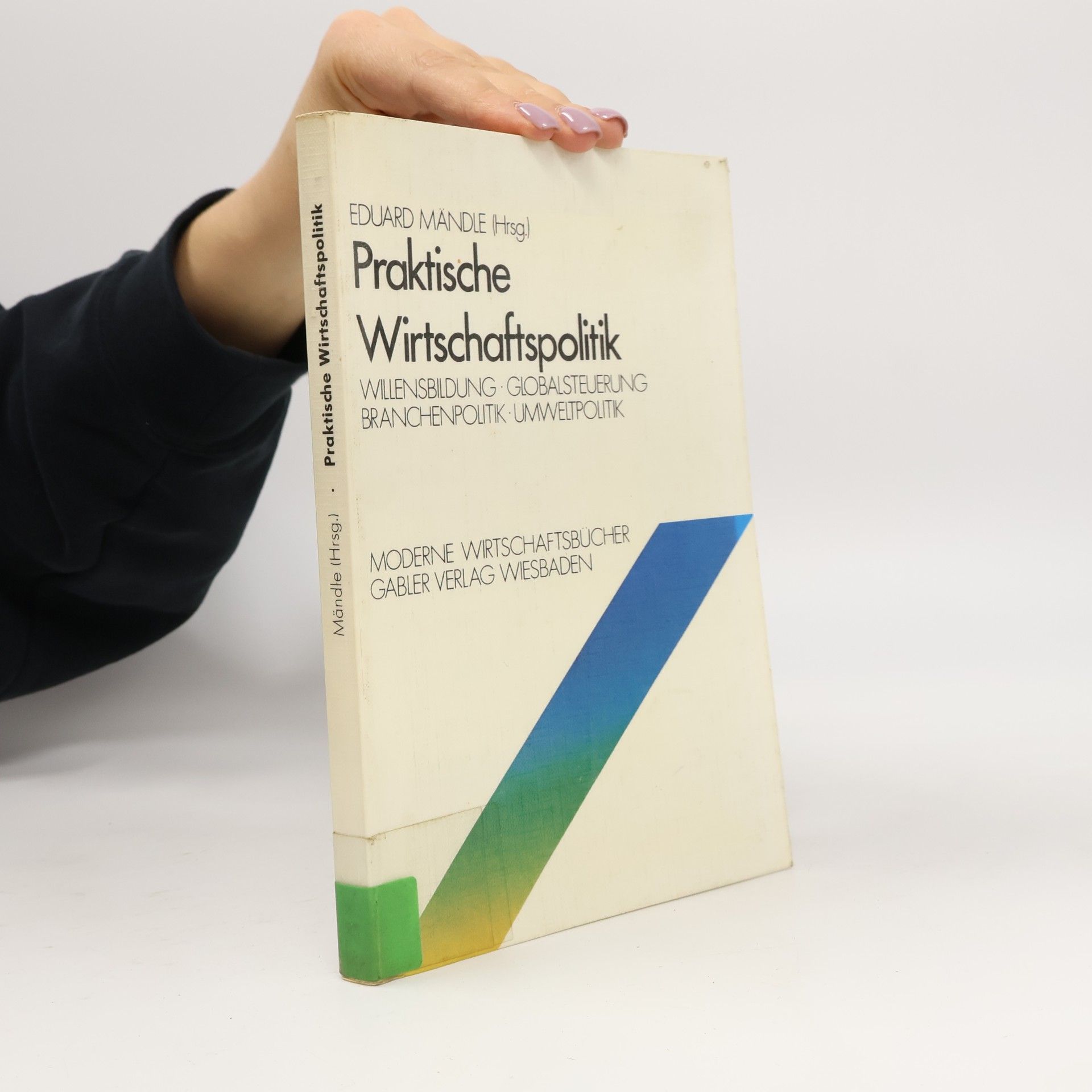 Moderne Wirtschaftsbücher: Praktische Wirtschaftspolitik