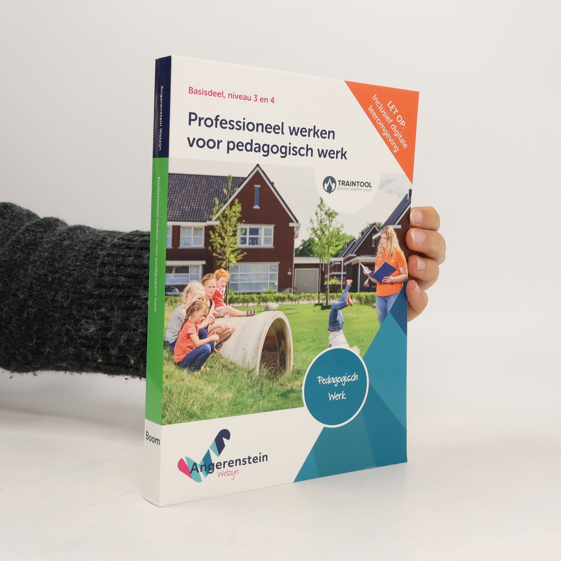 Professioneel werken voor pedagogisch werk