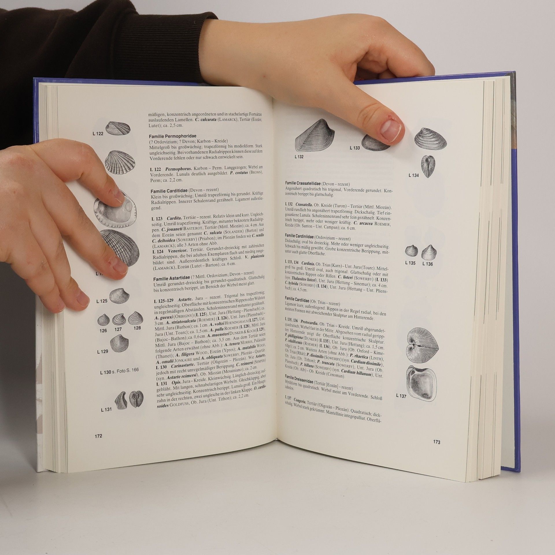 Andreas E. Richter Handbuch des Fossiliensammlers