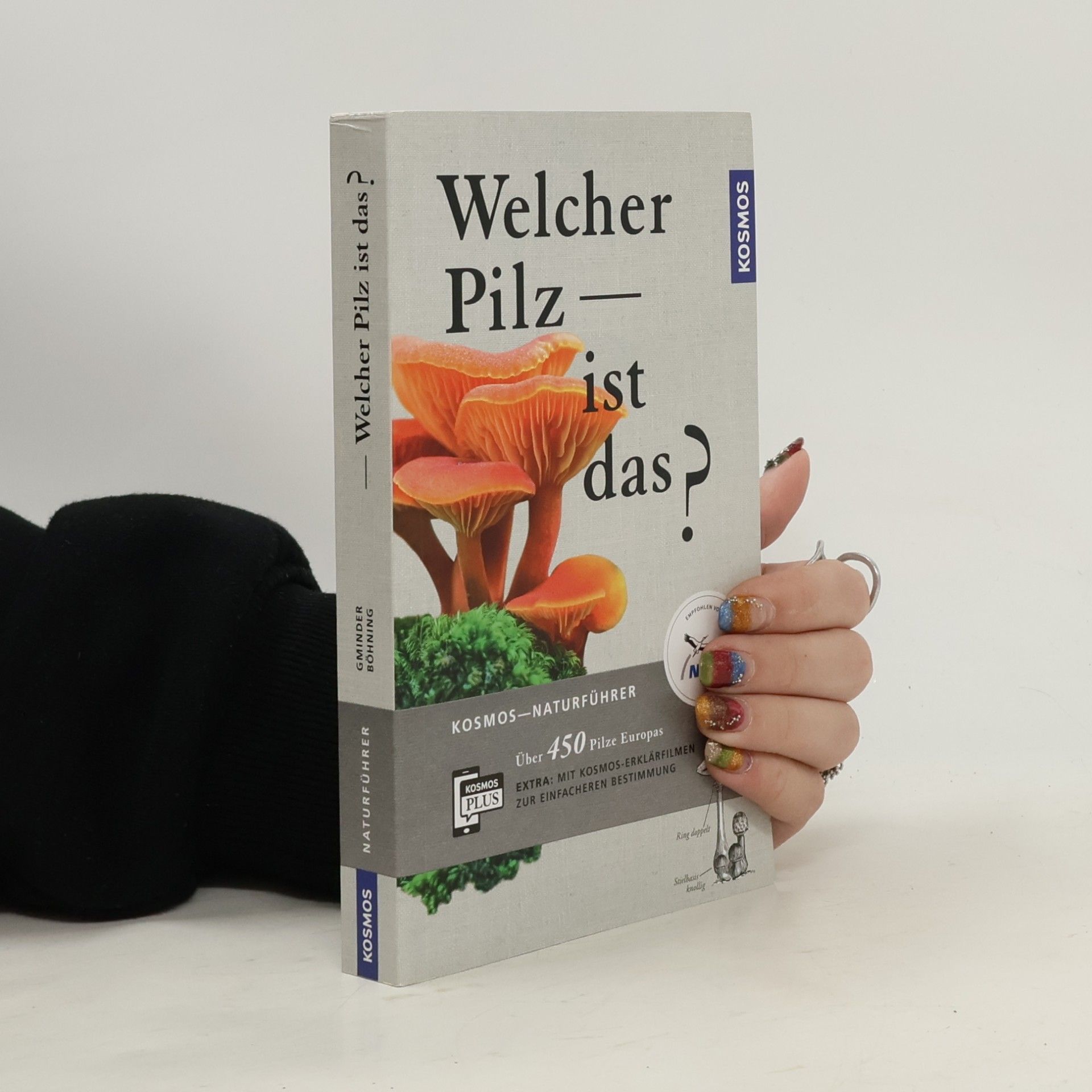 Welcher Pilz ist das?