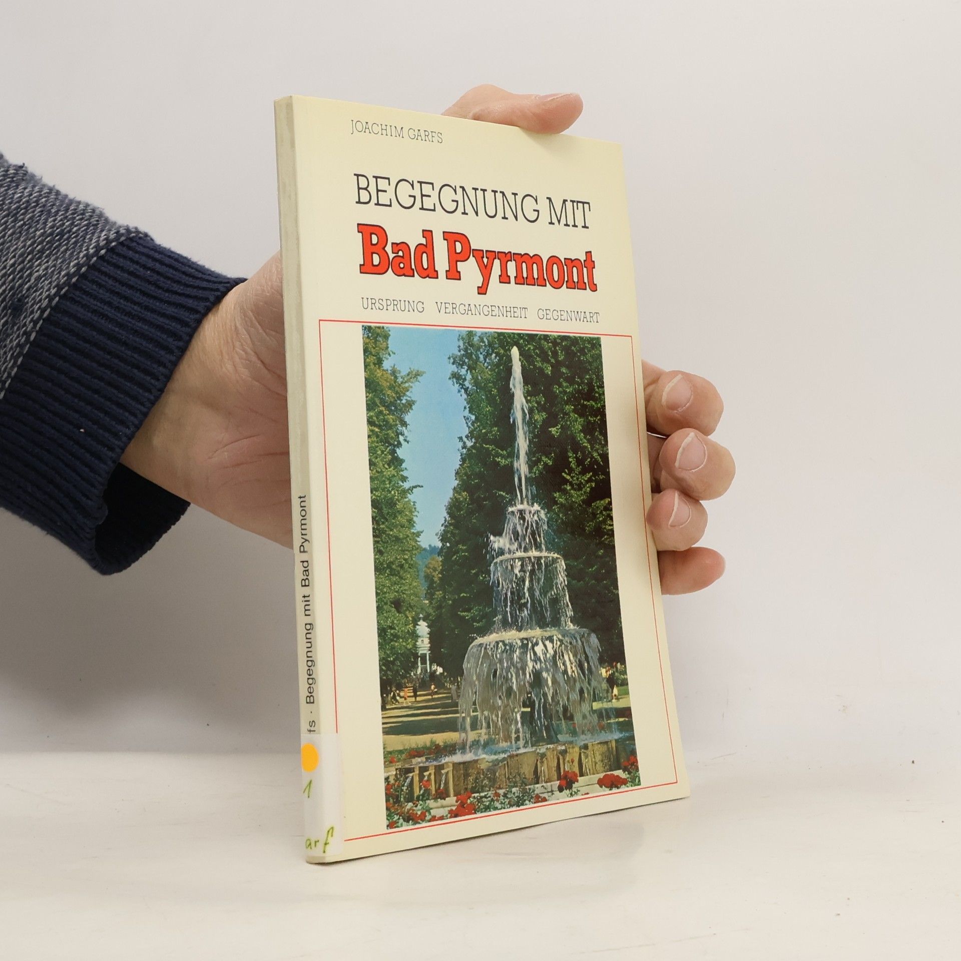 Begegnung mit Bad Pyrmont. Ursprung, Vergangenheit, Gegenwart und die Sehenswürdigkeiten der Umgebung in Stichworten