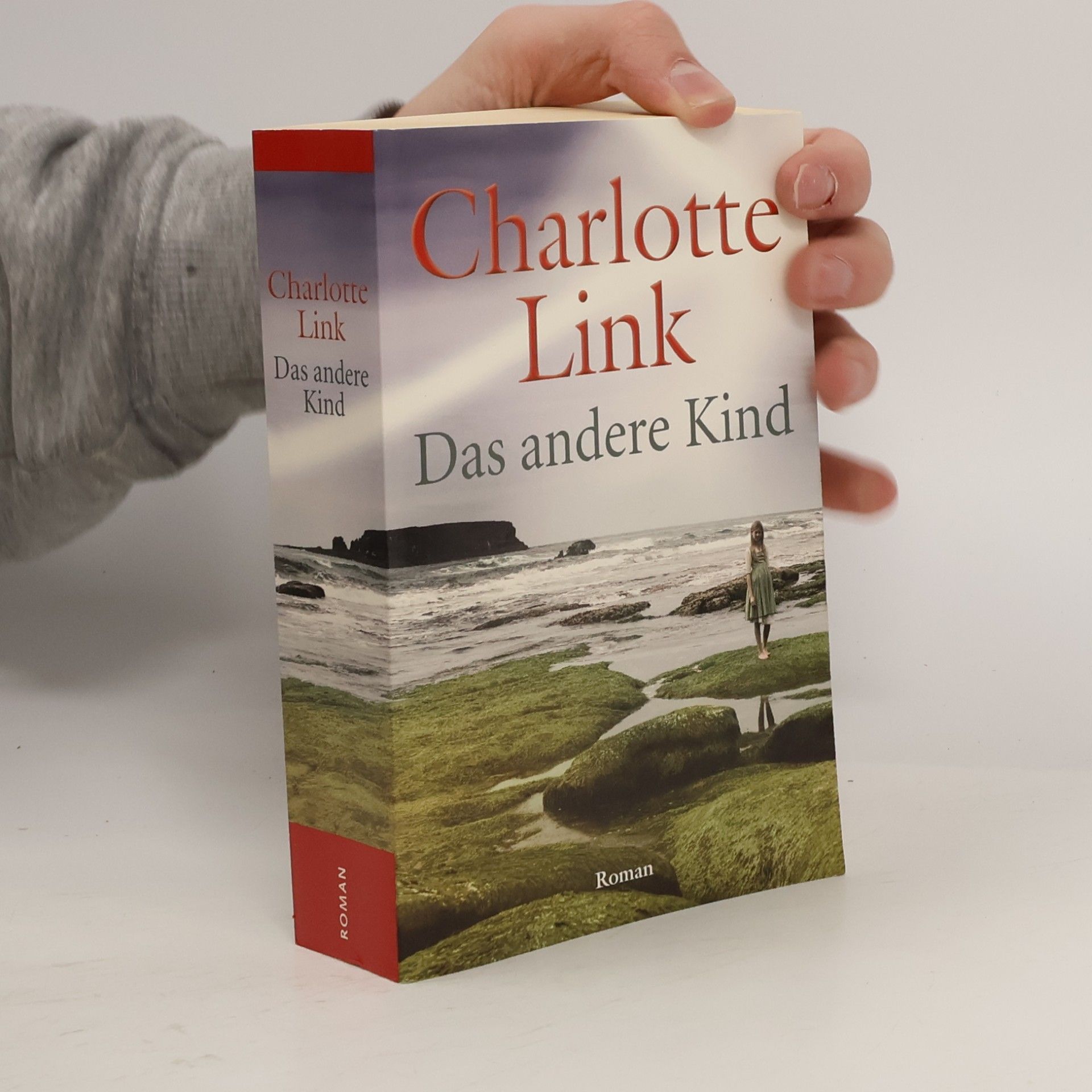 Charlotte Link Das andere Kind