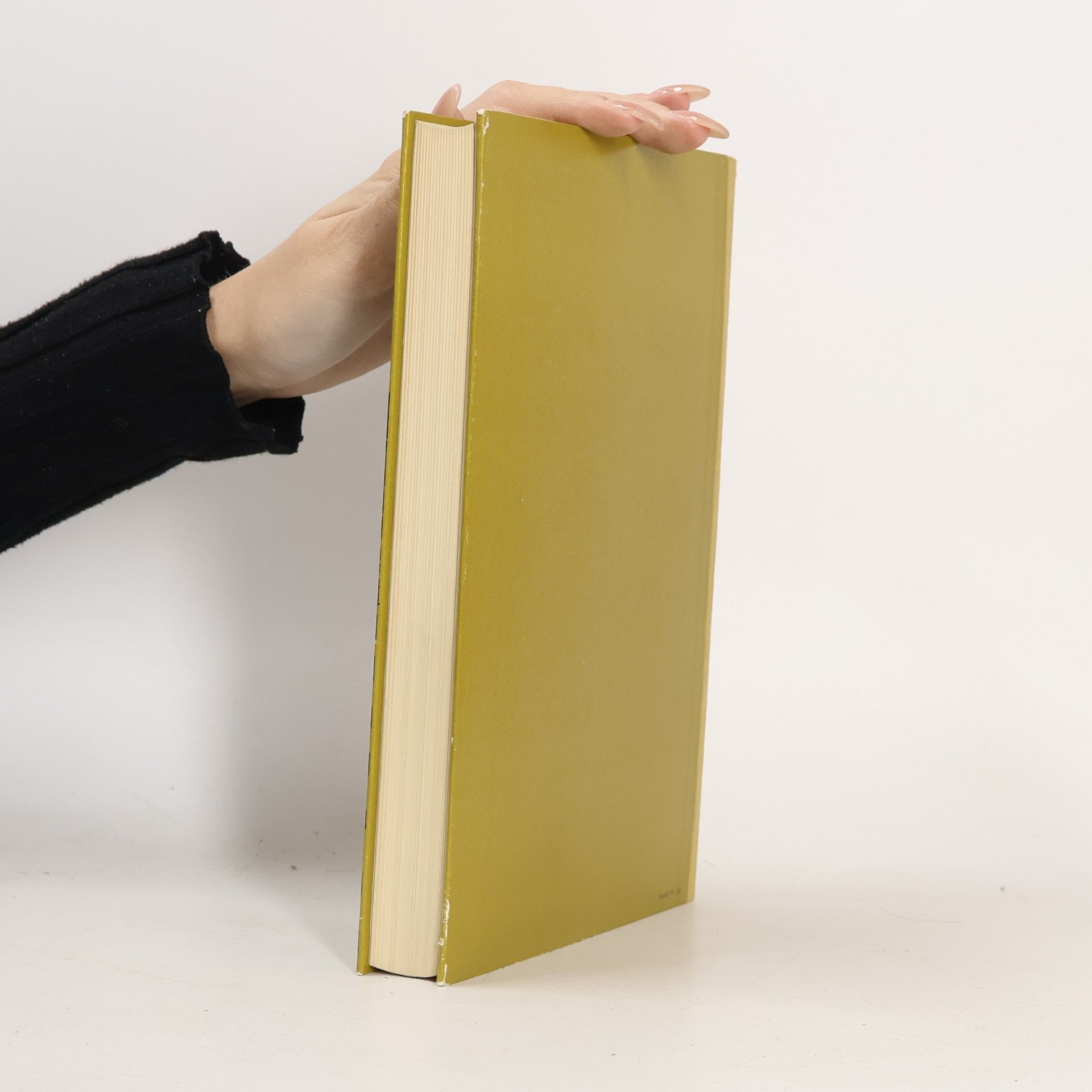Paul Dormagen Handbuch zur modernen Literatur im Deutschunterricht