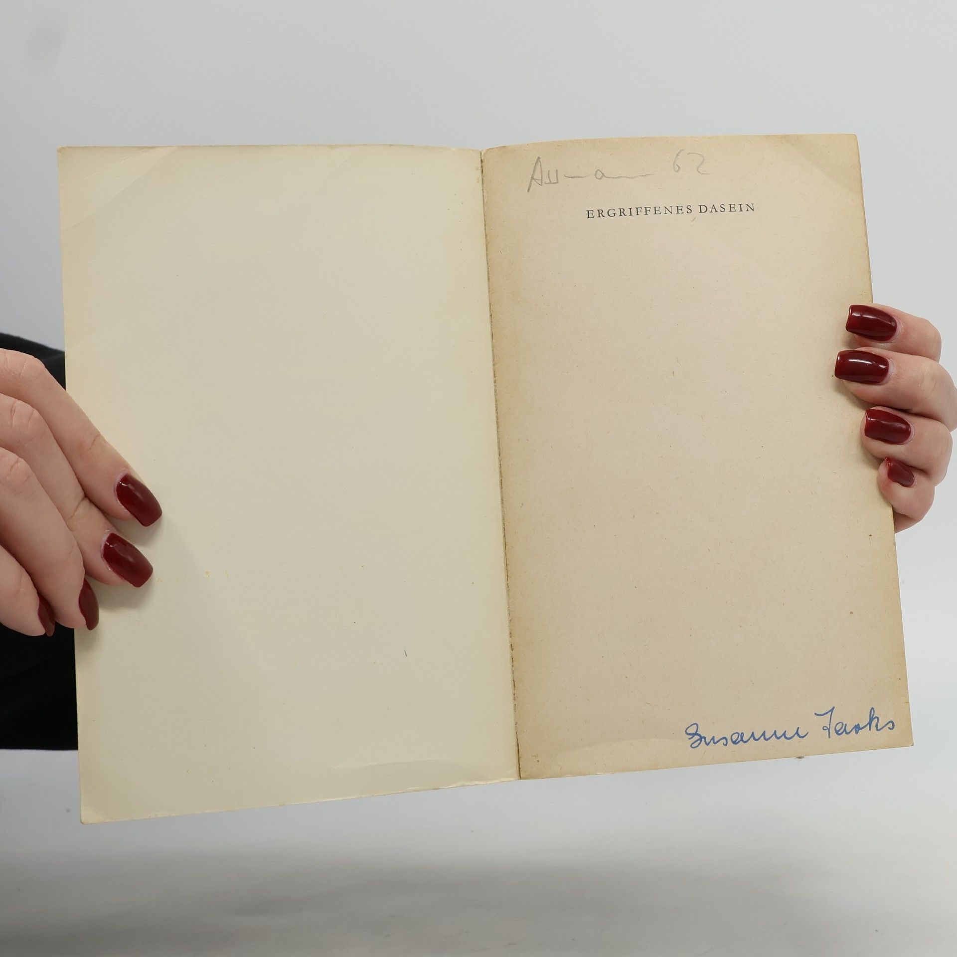 Hans Egon Holthusen Ergriffenes Dasein