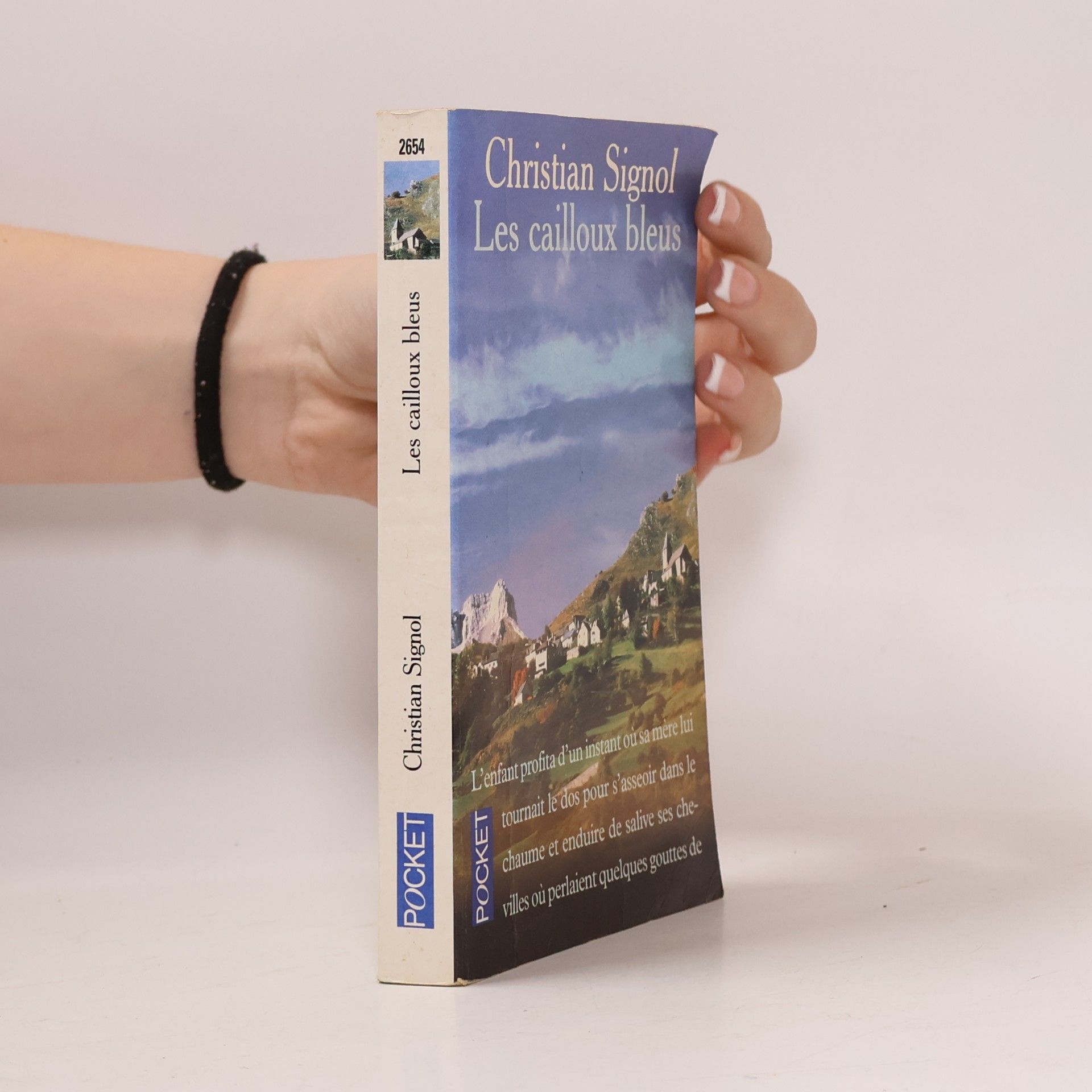Les cailloux bleus