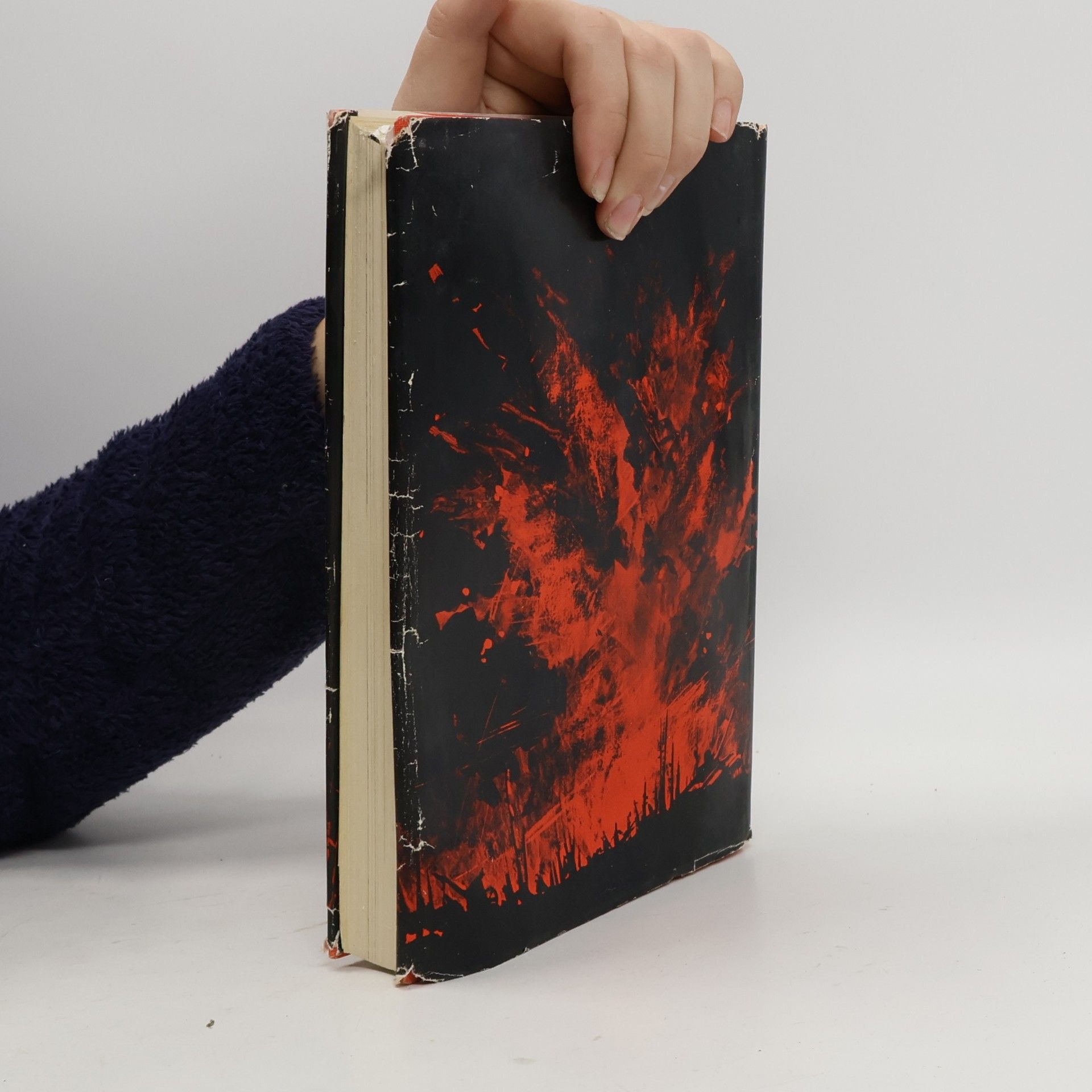 Gert Görner Inferno im Westen