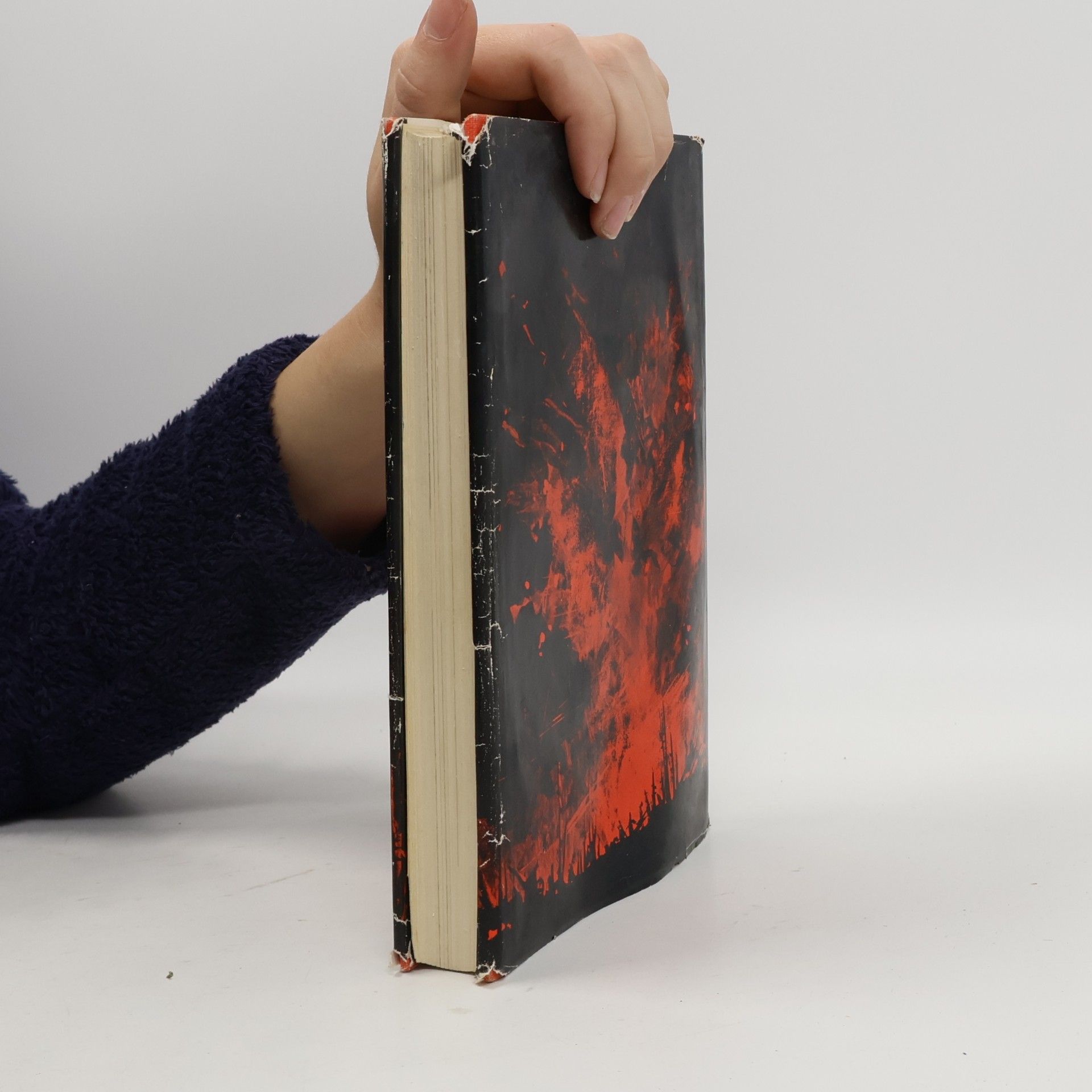 Gert Görner Inferno im Westen