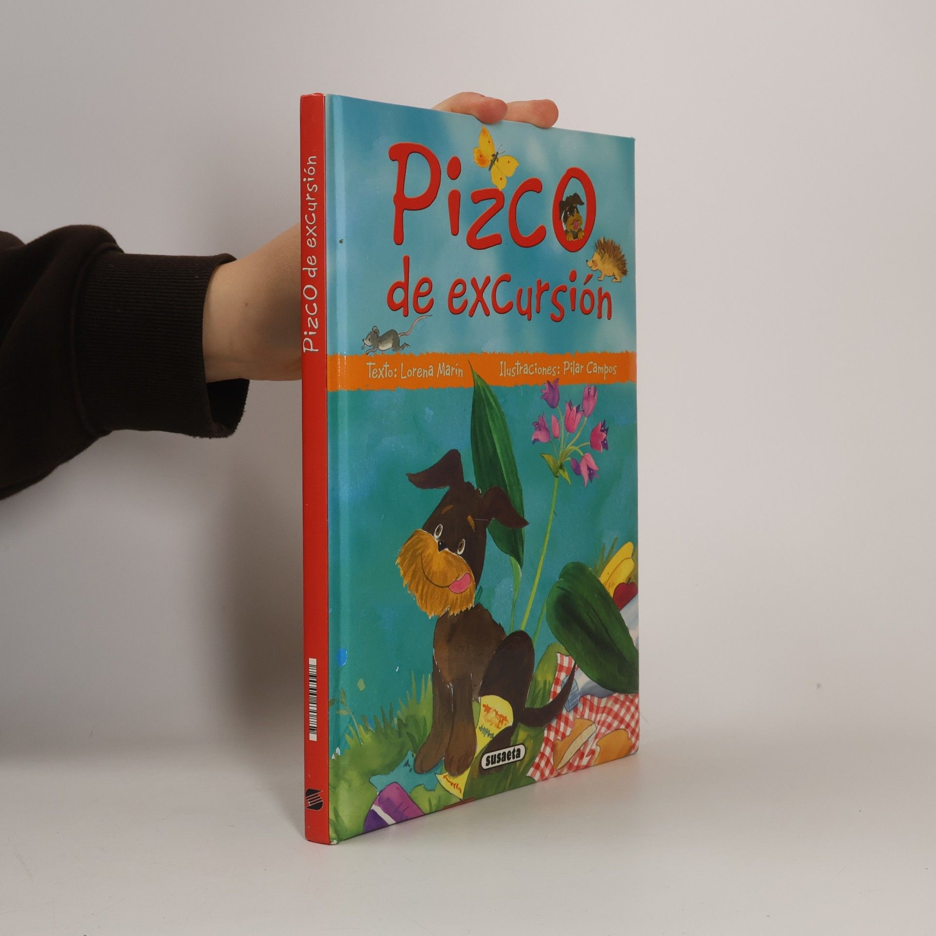 Mi amigo Pizco: Pizco de excursión