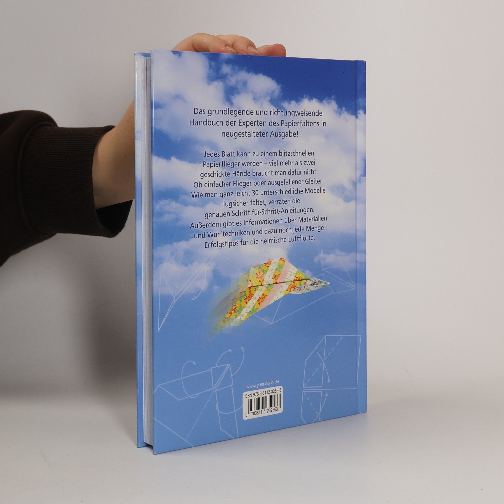 Rene Lucio Blitzschnelle Papierflieger