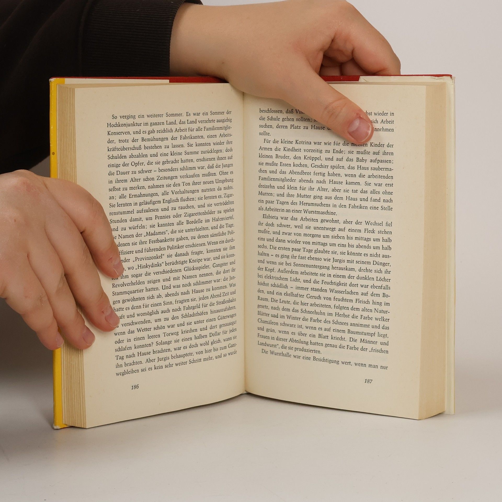 Upton Sinclair Der Dschungel