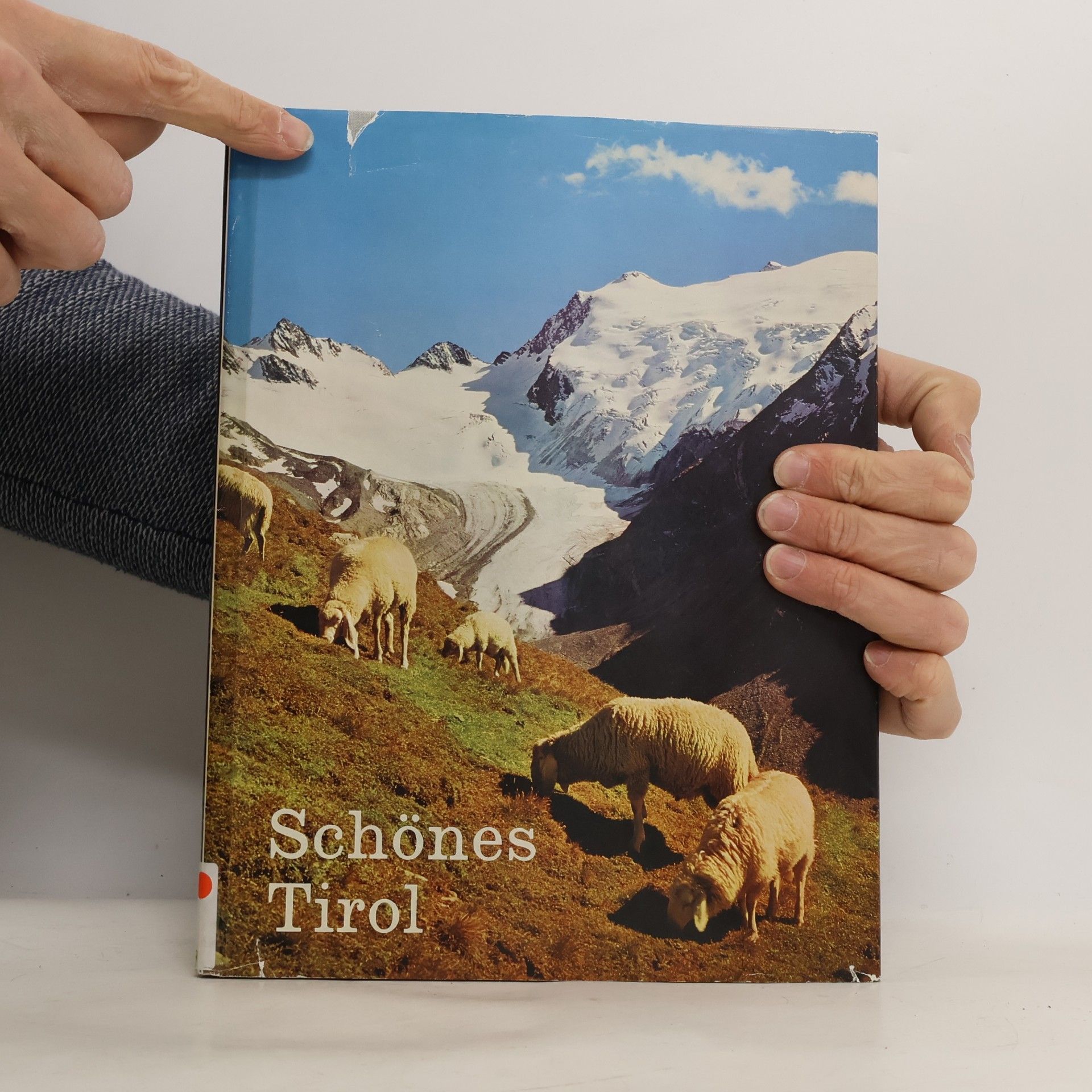 Eduard Widmoser Schönes Tirol